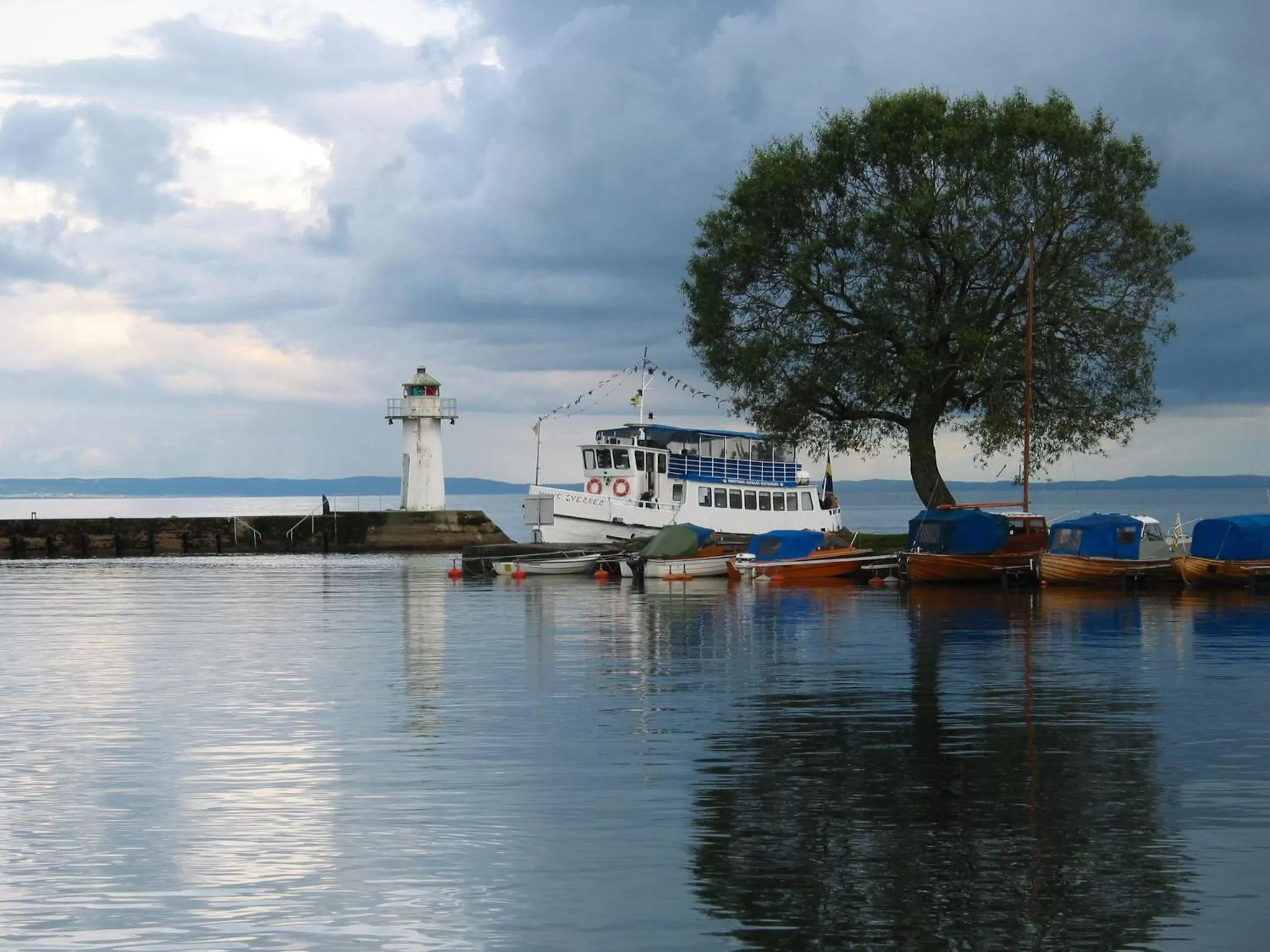 Natural landscape in Hotel Bellevue