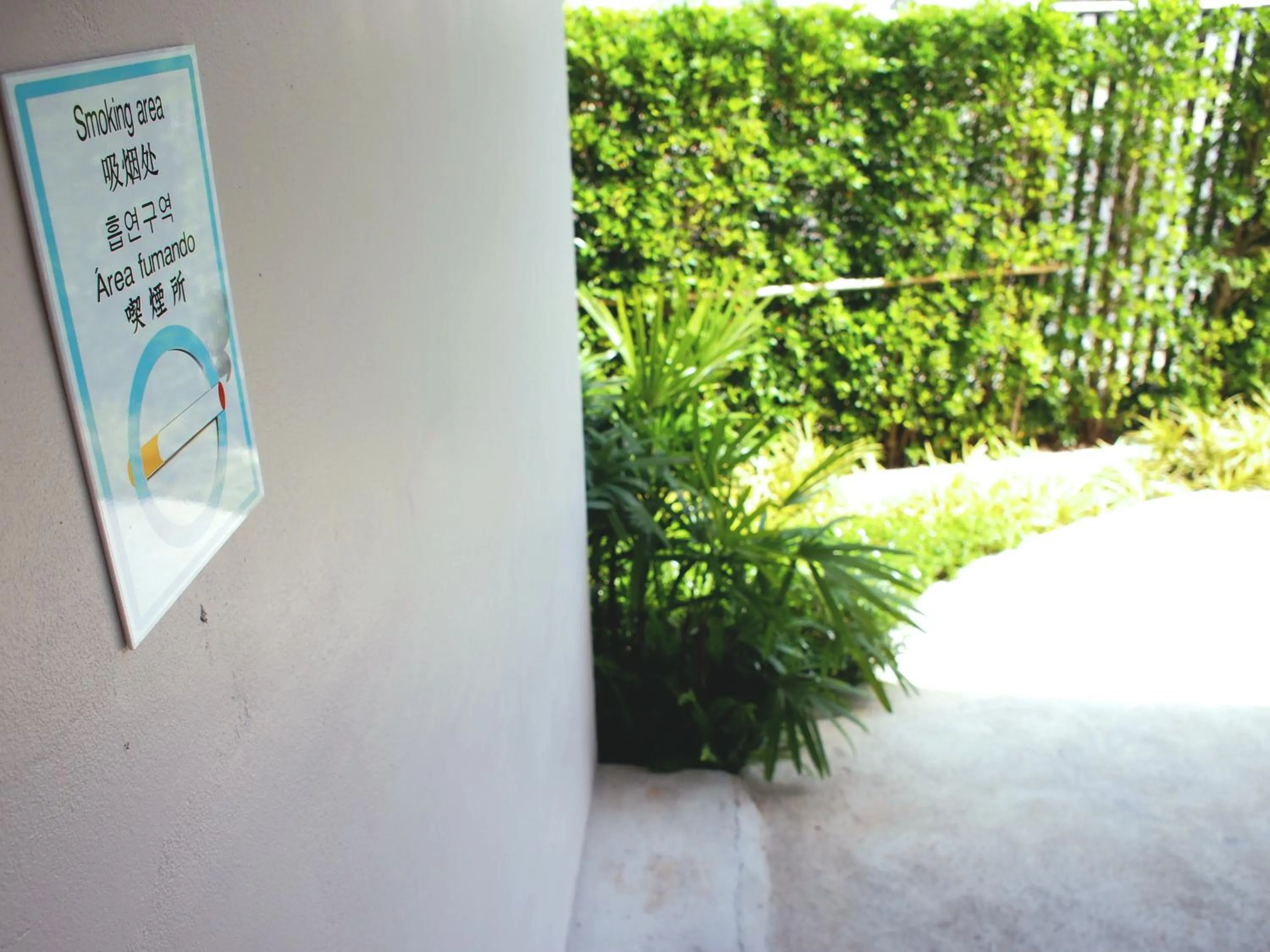 Area and facilities in Good Night Pool Villa Phuket - SHA Plus