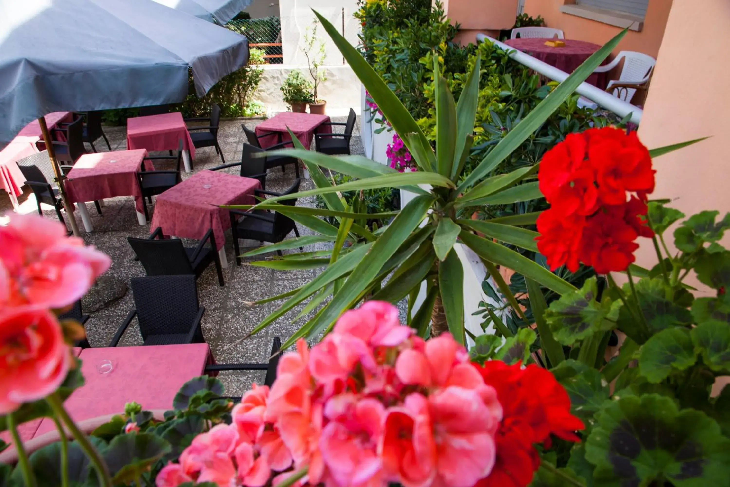 Patio in Amadei Hotel Blumen