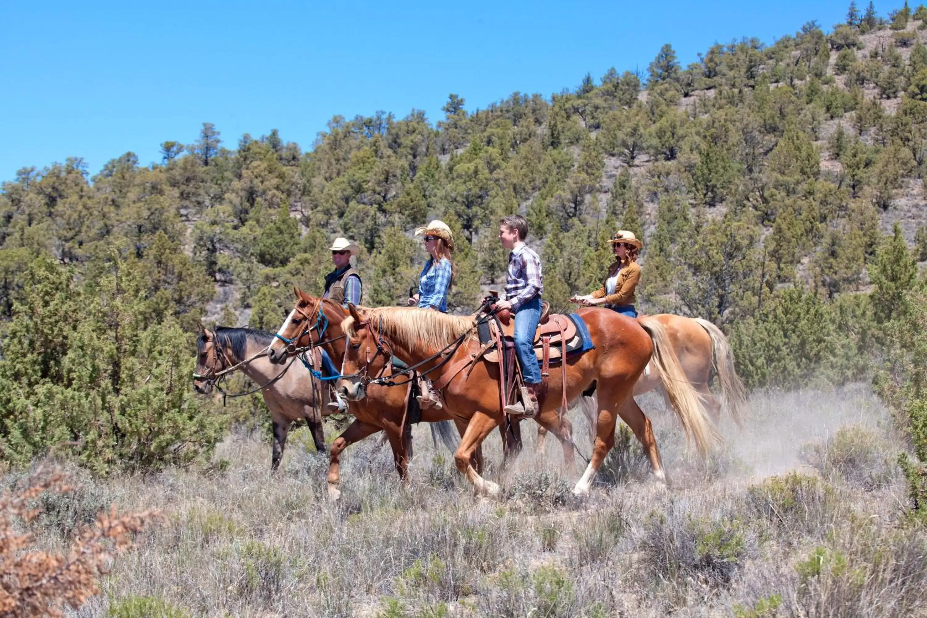 Horse-riding, Horseback Riding in Brasada Ranch
