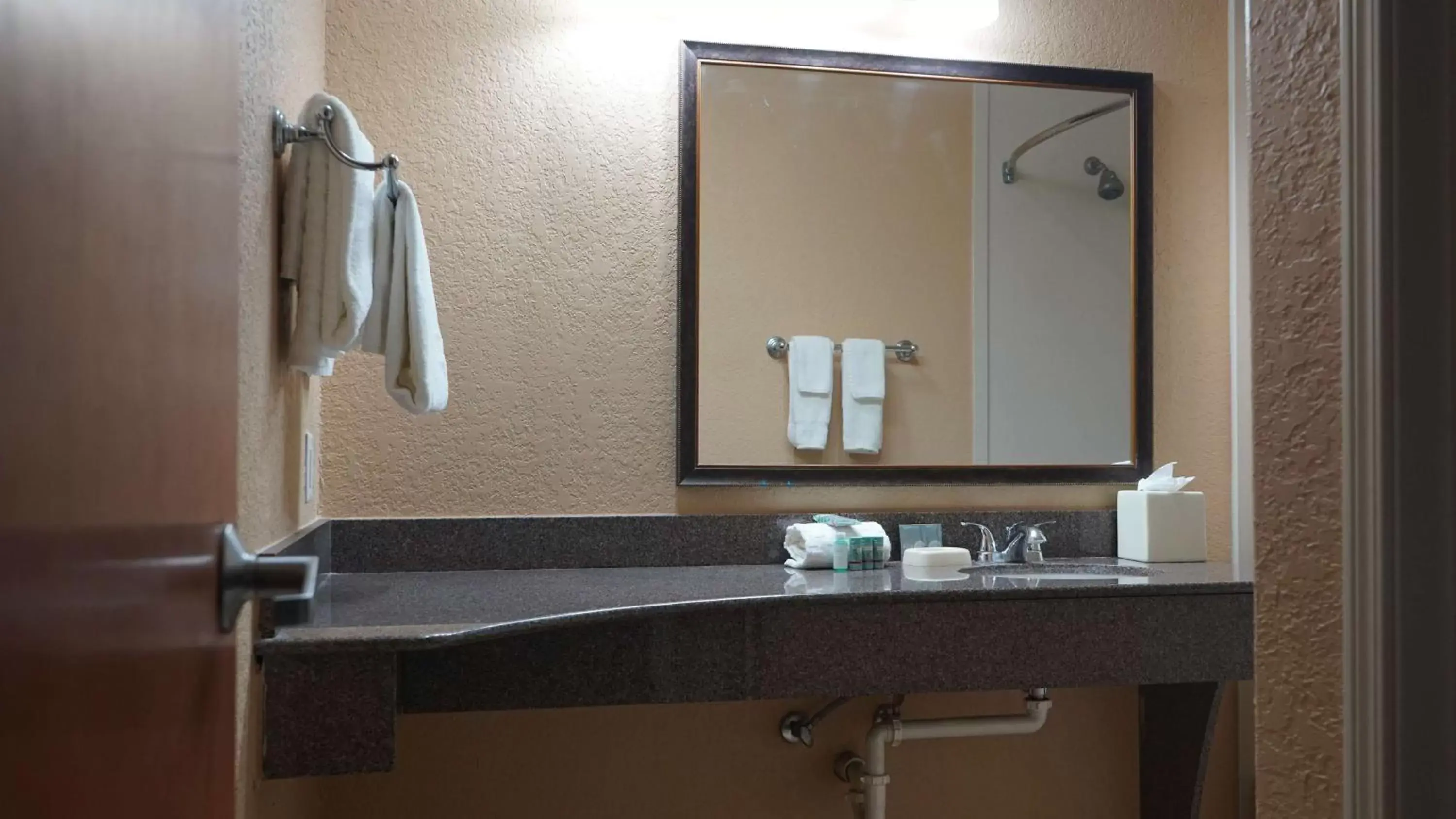 Bathroom in Best Western Lubbock West Inn & Suites