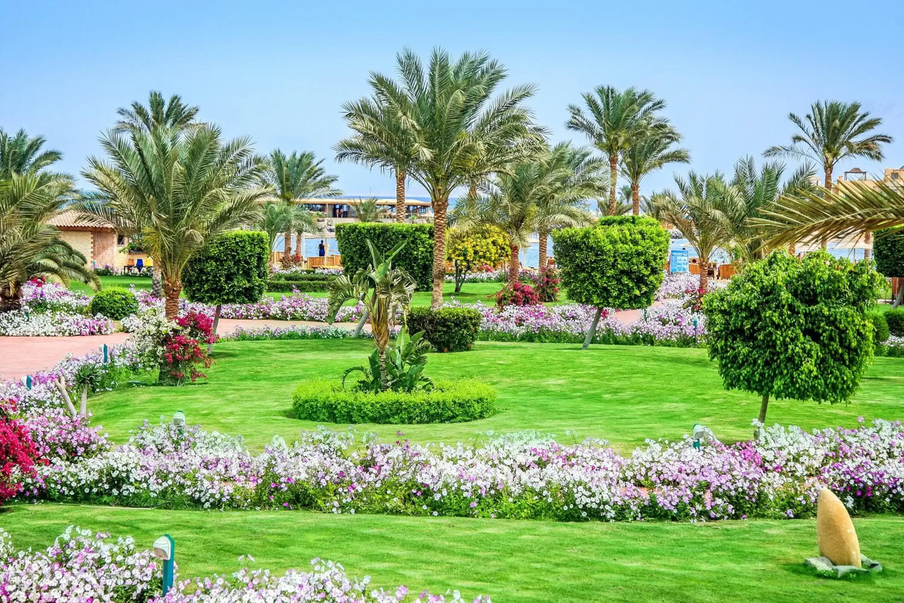 Natural landscape, Garden in Desert Rose Resort