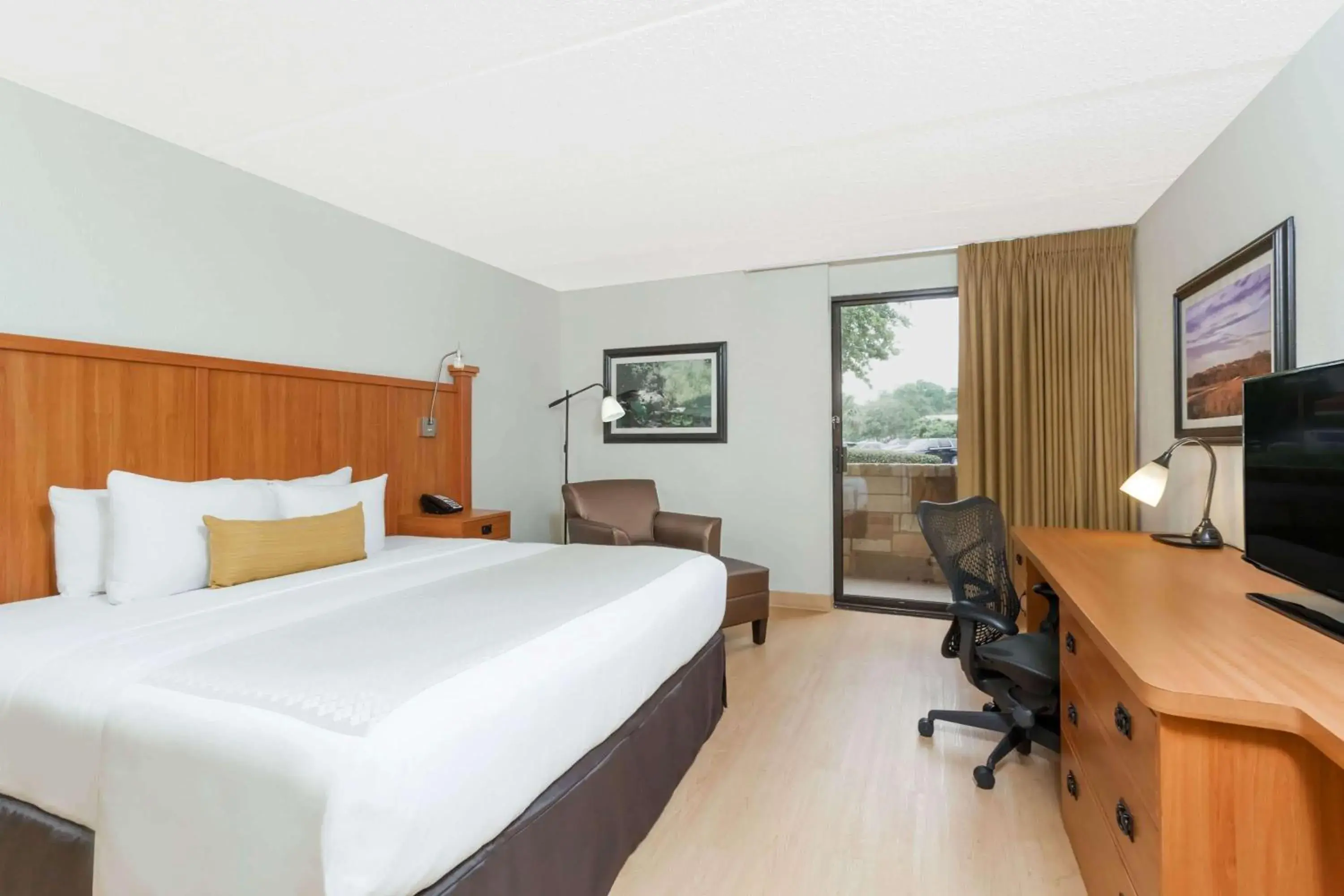 Photo of the whole room, Bed in Wyndham Garden Hotel Austin