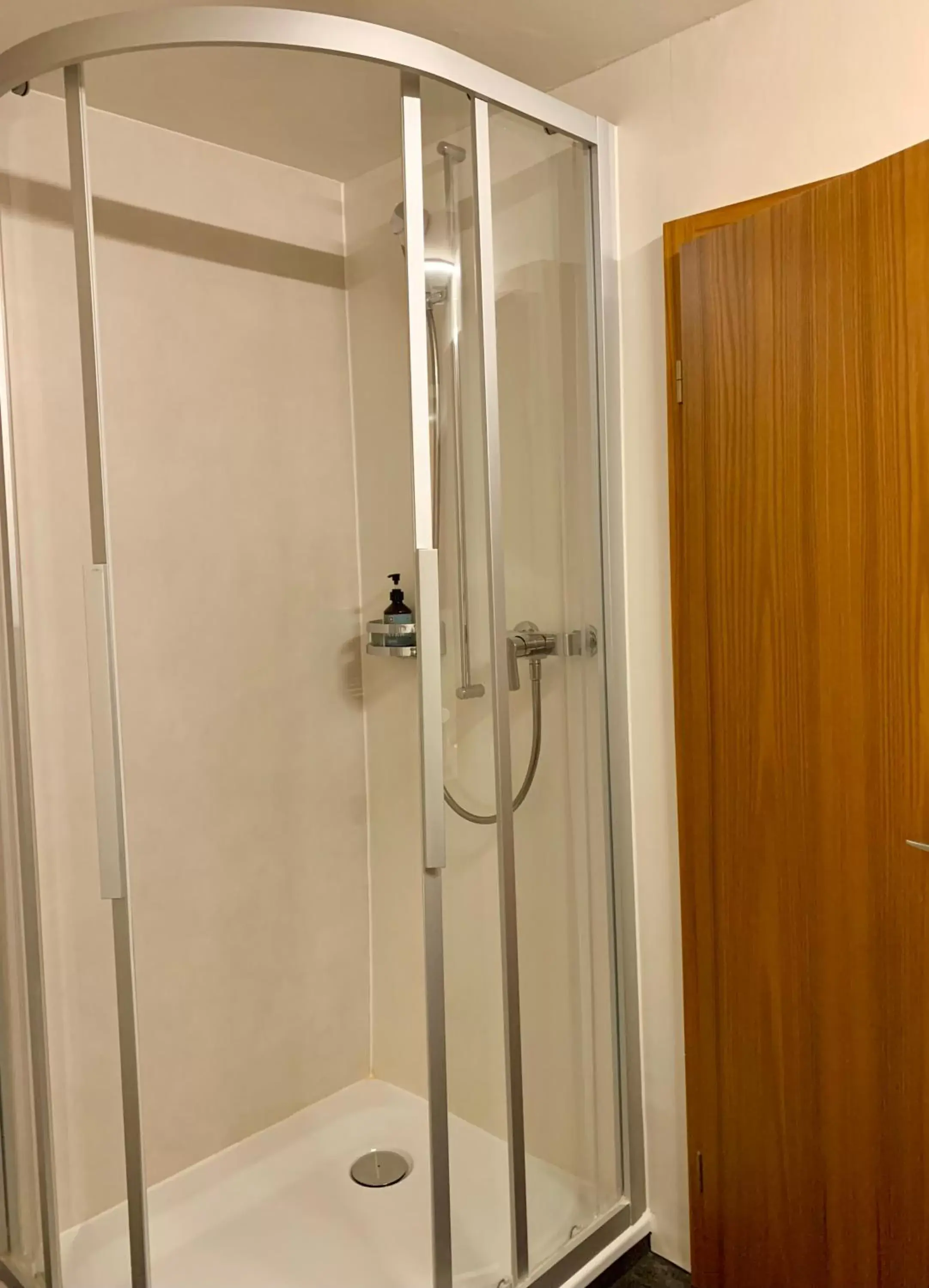 Shower, Bathroom in Hotel Friedheim