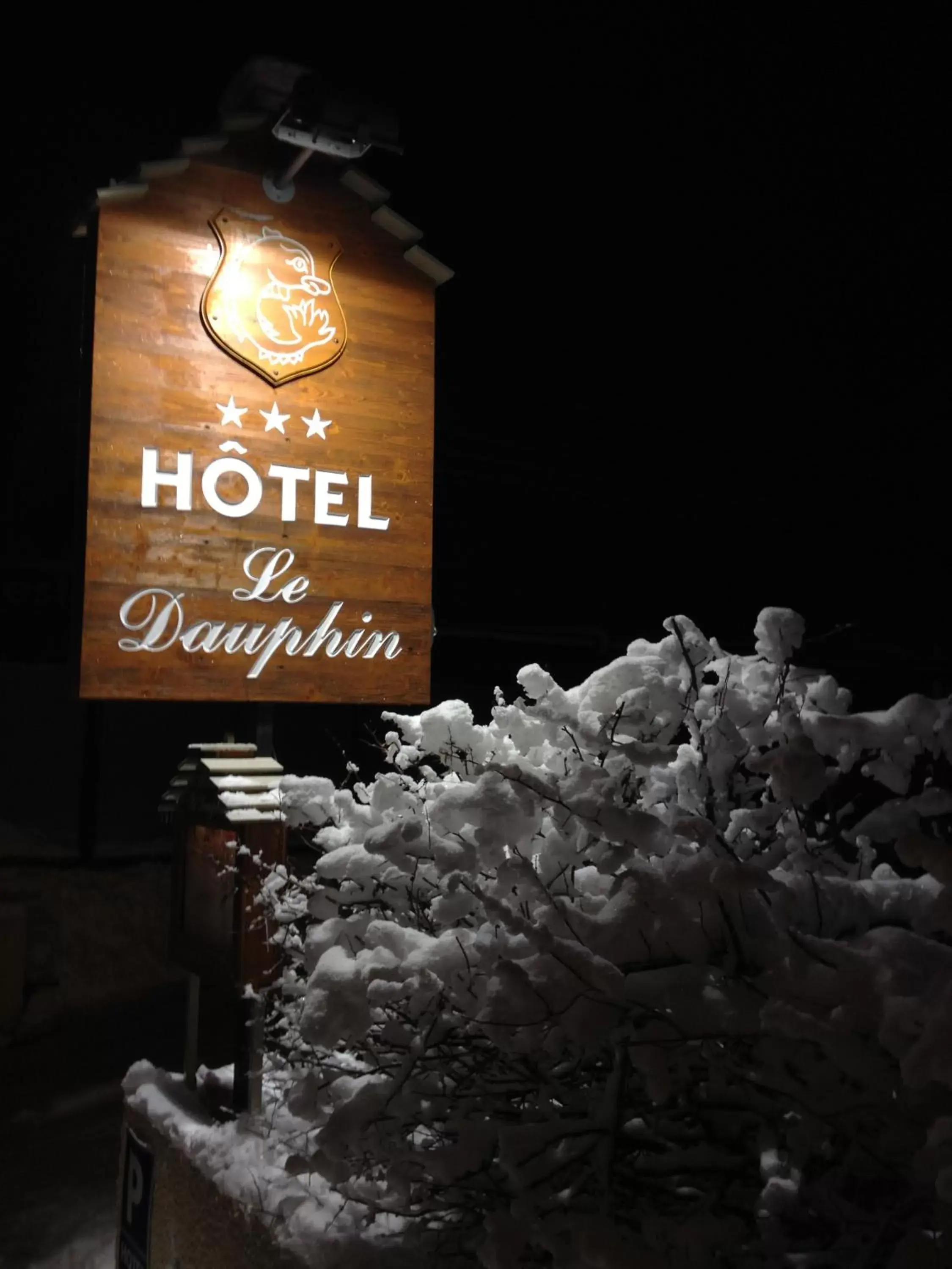 Night, Winter in Hôtel Le Dauphin