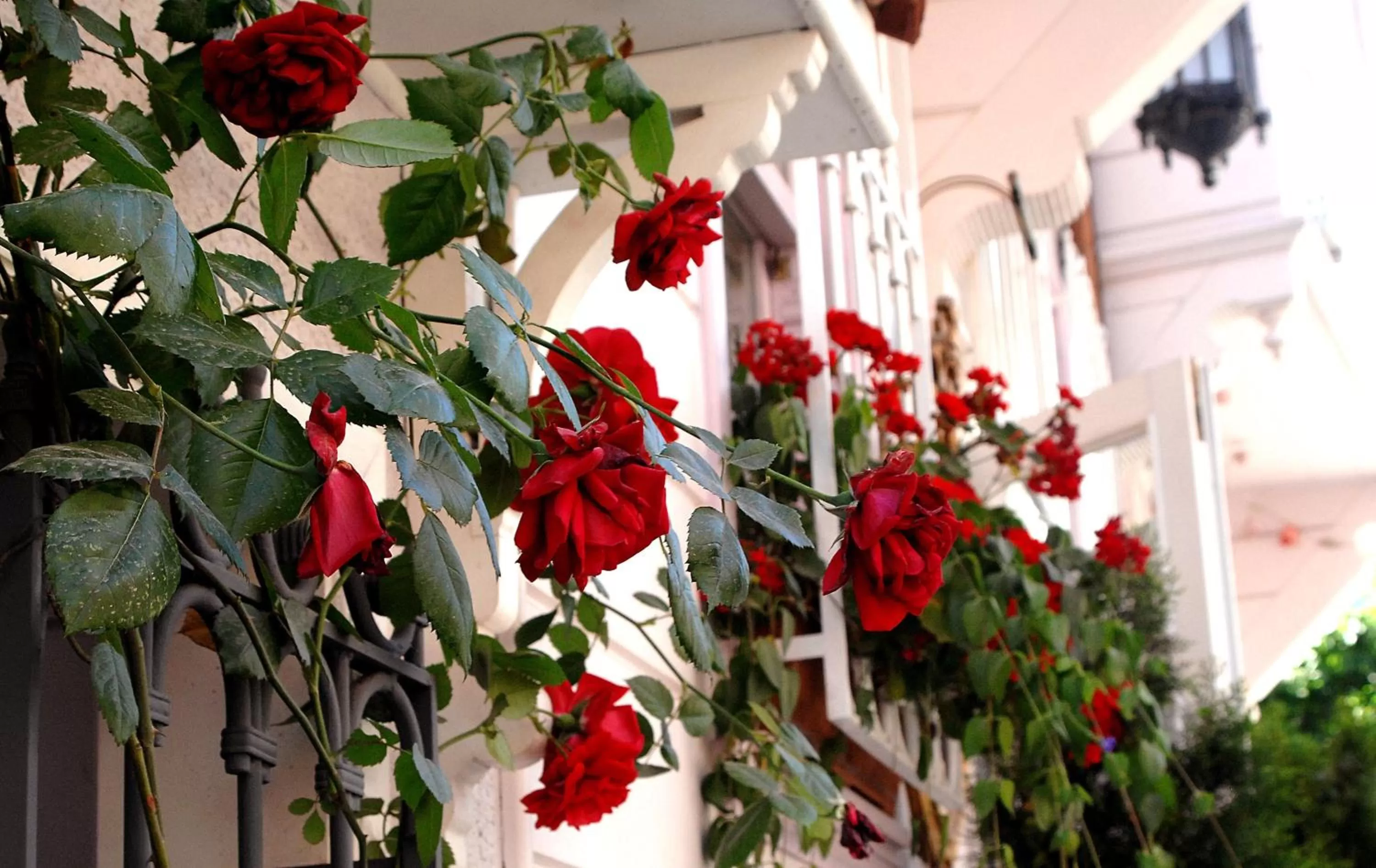 Property building in Darussaade Hotel Old City - Sultanahmet