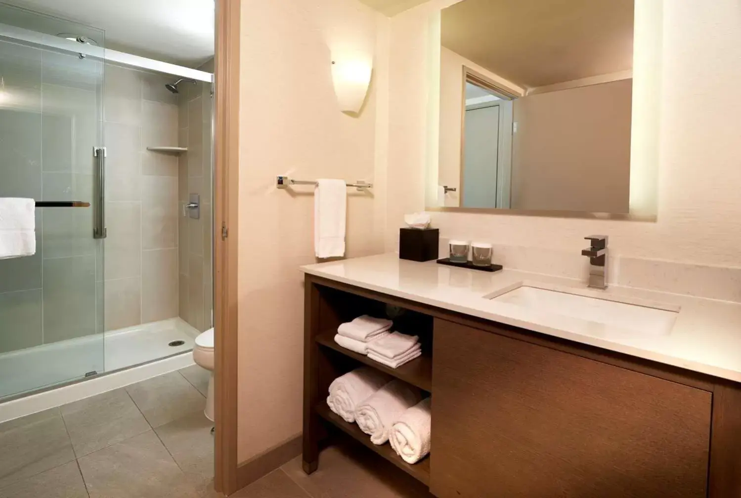 Shower, Bathroom in Embassy Suites by Hilton Phoenix Scottsdale