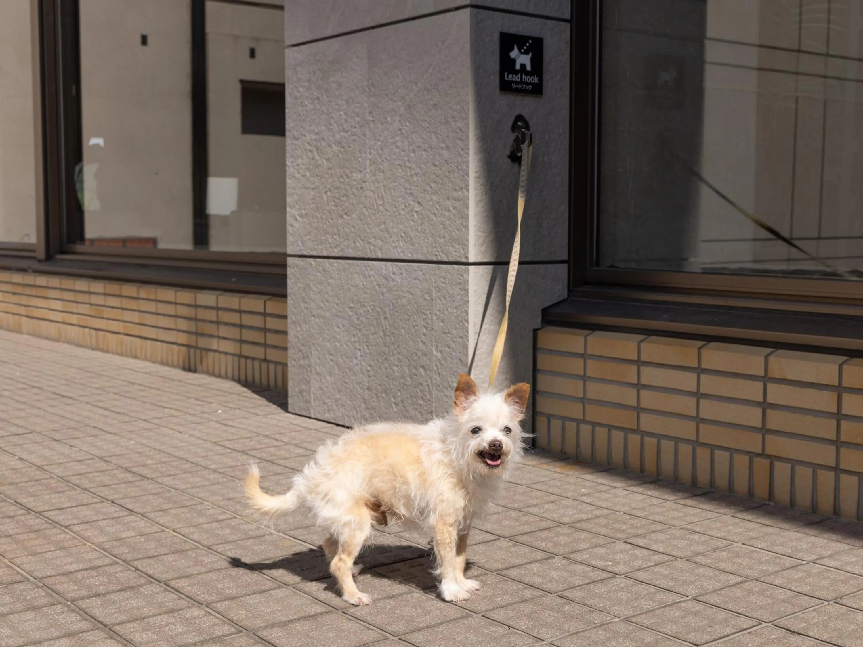 Animals in APA Hotel & Resort Joetsu Myoko