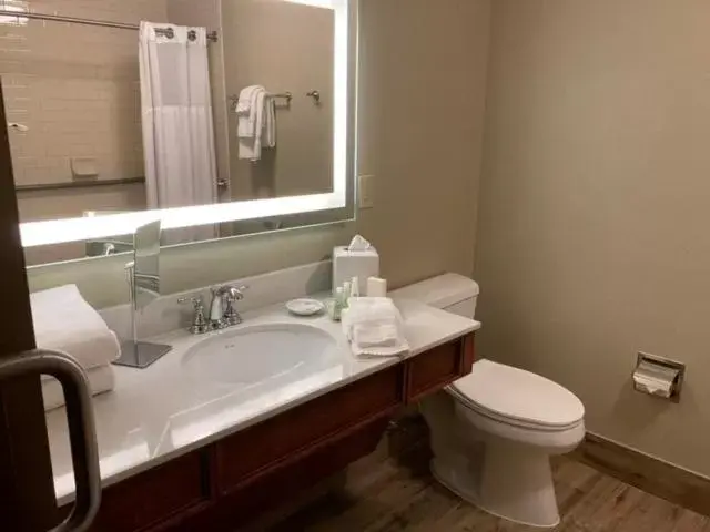 Bathroom in Stonewall Resort