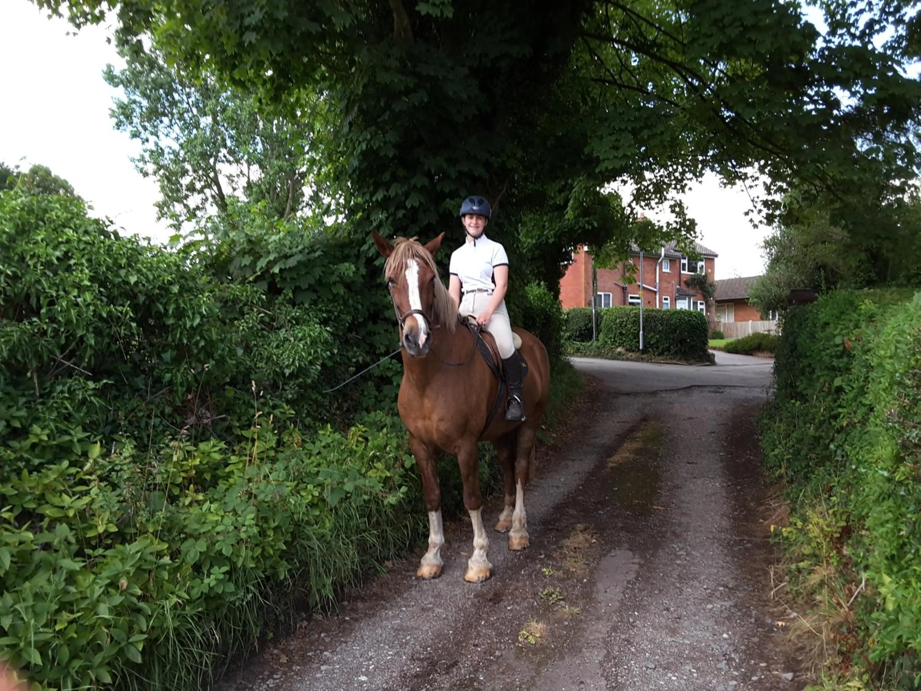 Horse-riding in Pine Tree Lodge, Bridgnorth