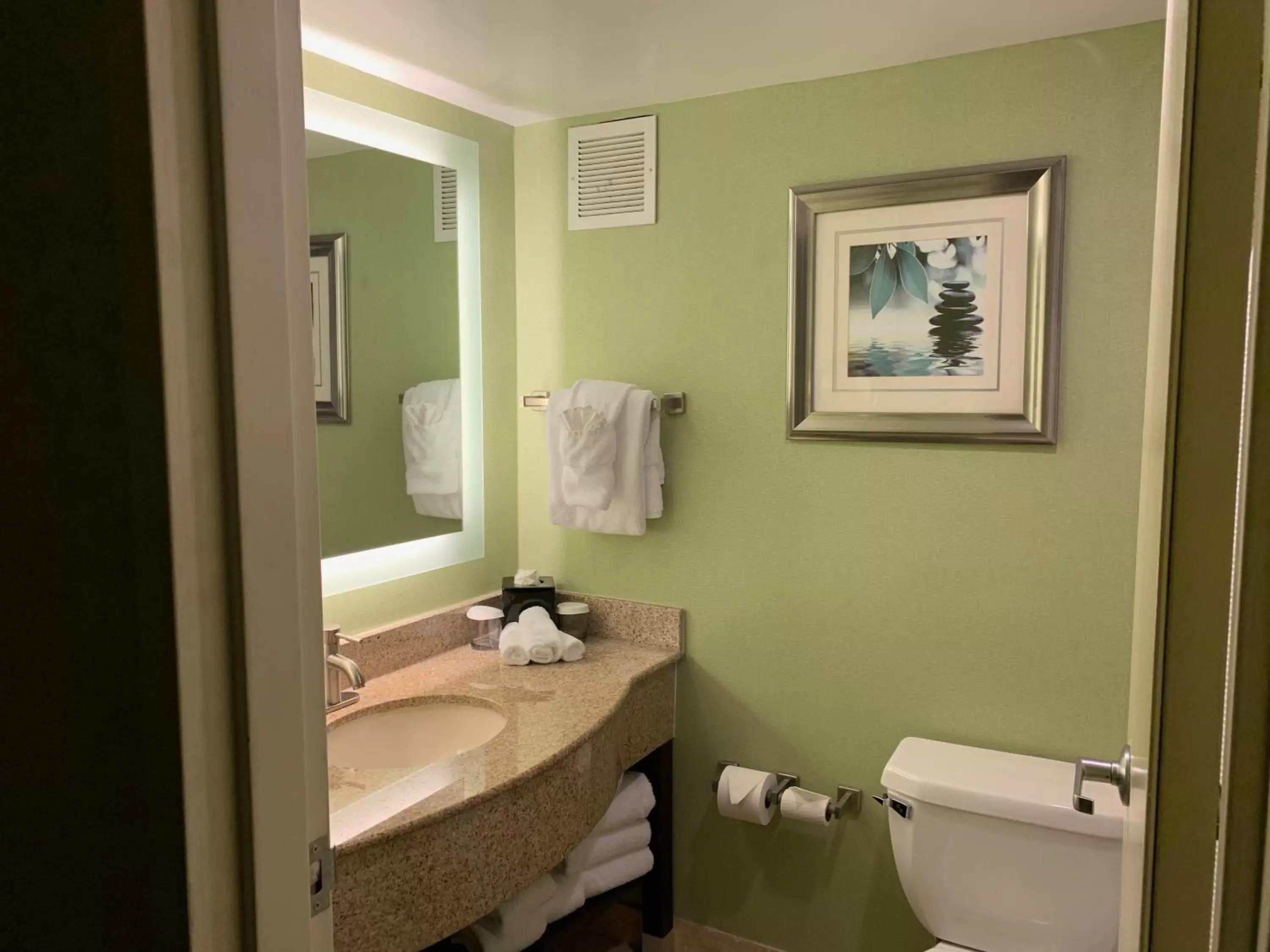 Bathroom in Crowne Plaza Hotel Virginia Beach-Norfolk, an IHG Hotel