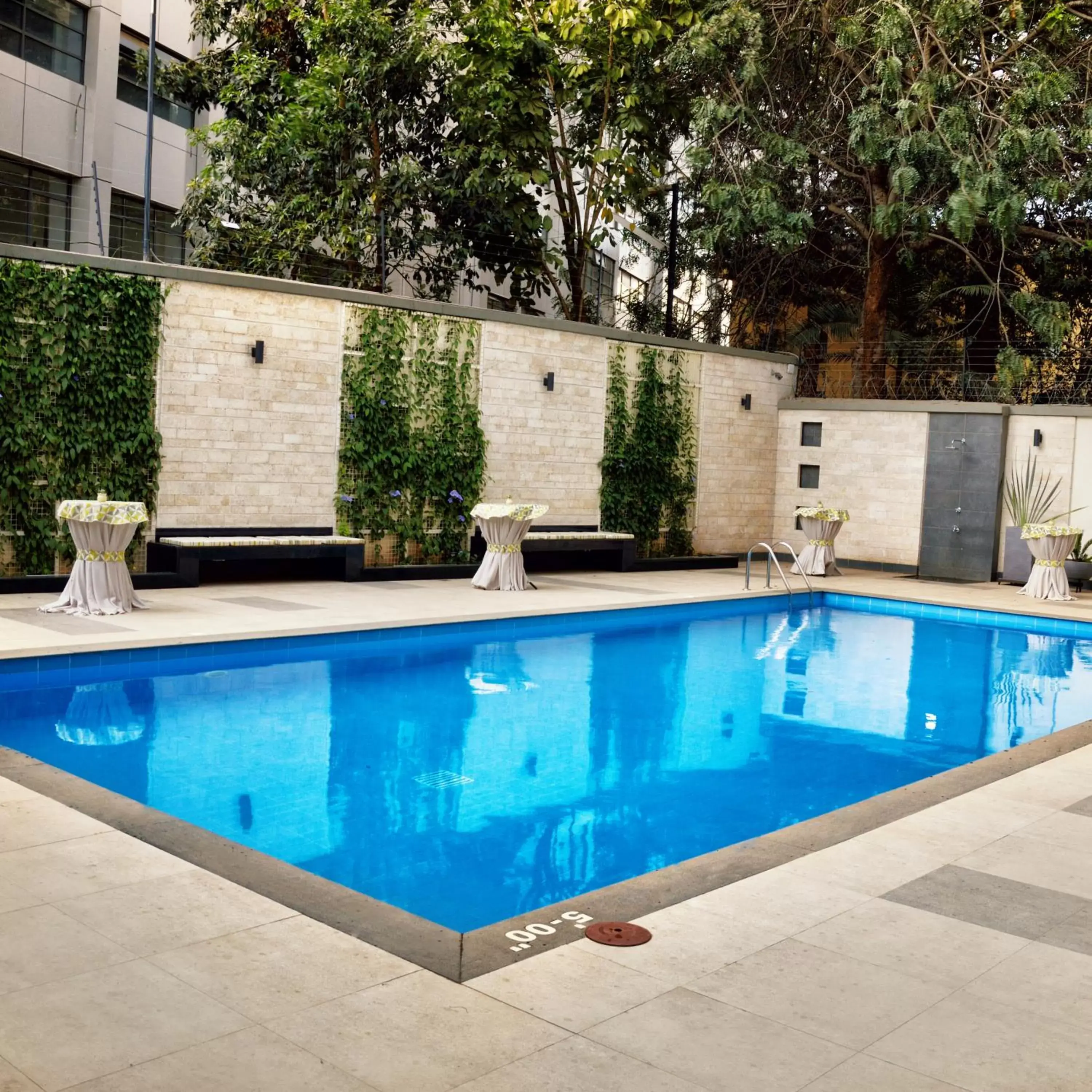 Swimming Pool in Zehneria Suites Hotel