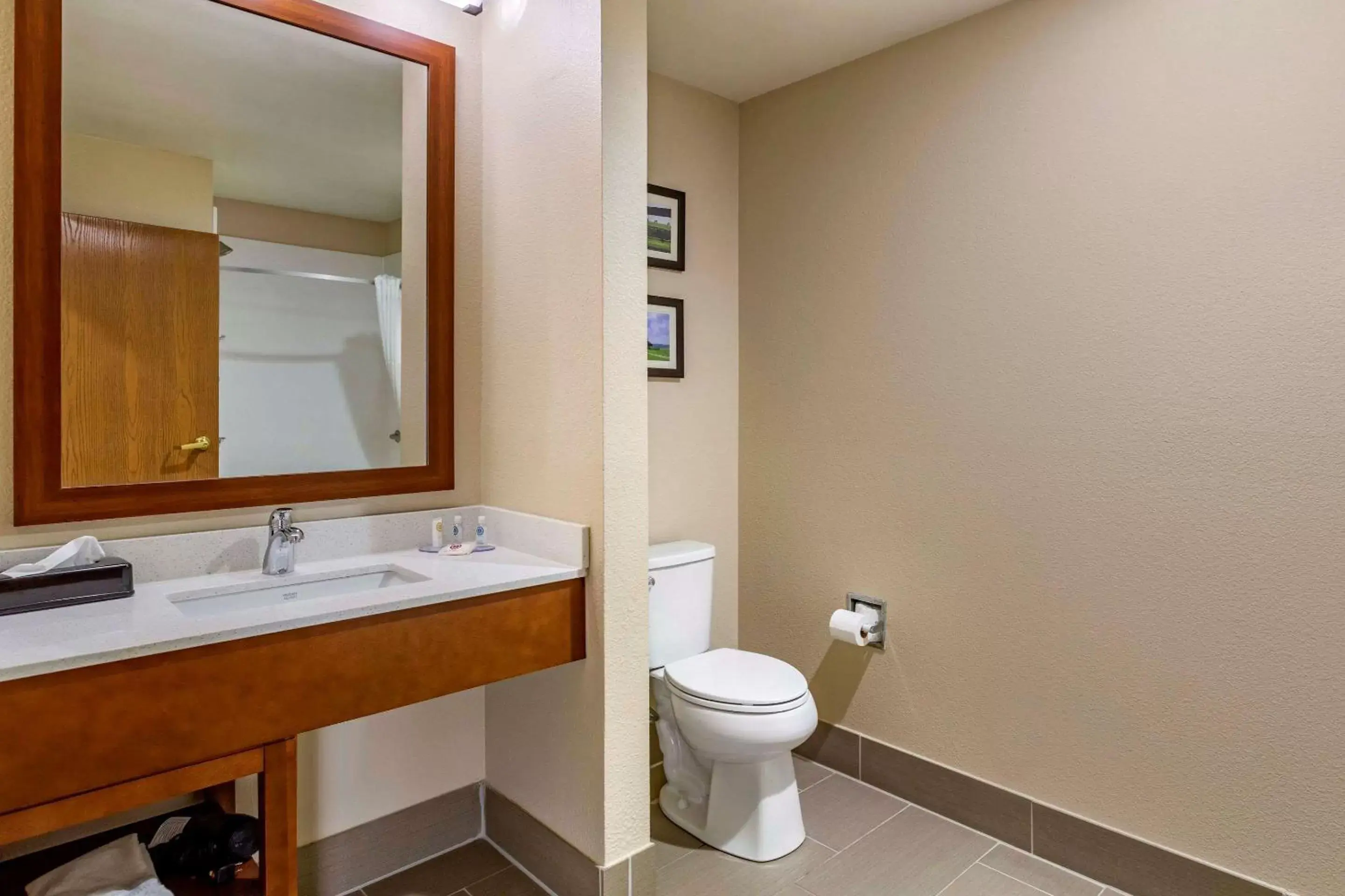 Bedroom, Bathroom in Comfort Inn Paducah I-24