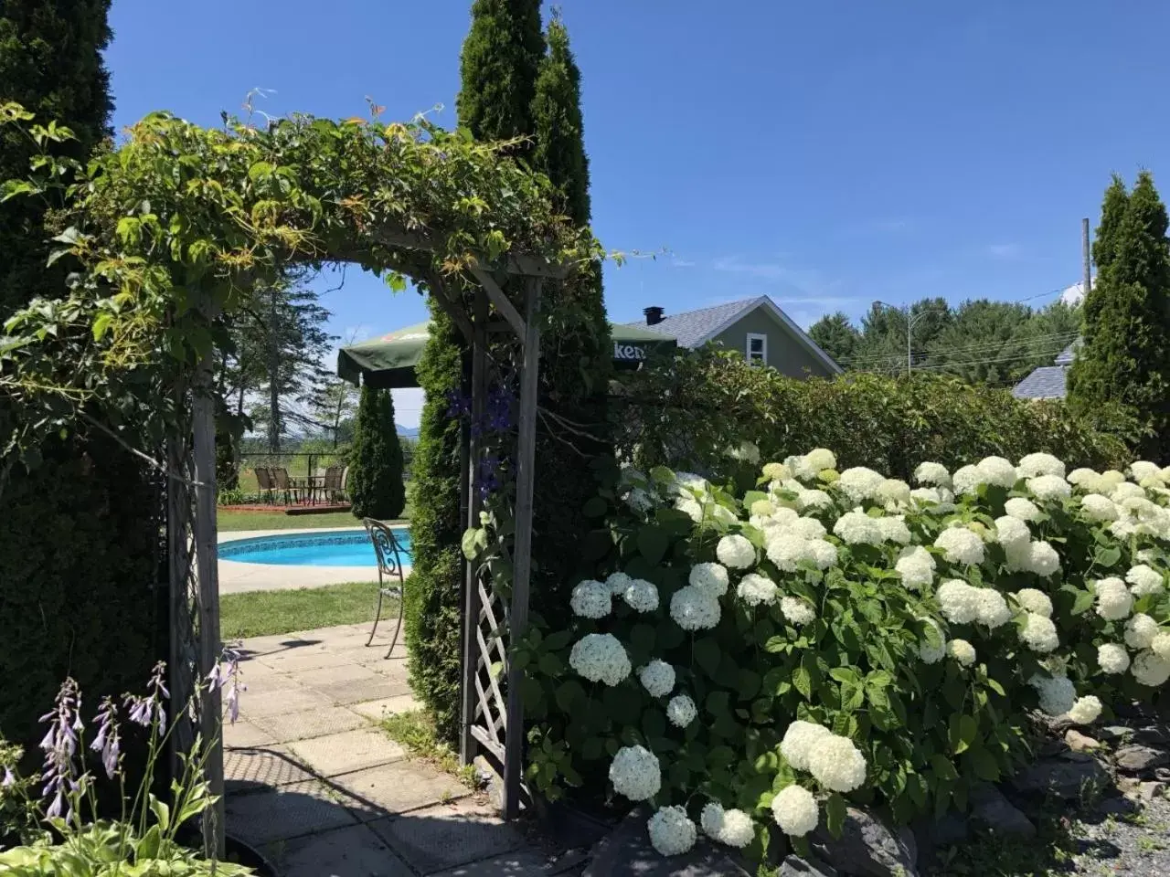 Garden, Swimming Pool in Motel des Cèdres