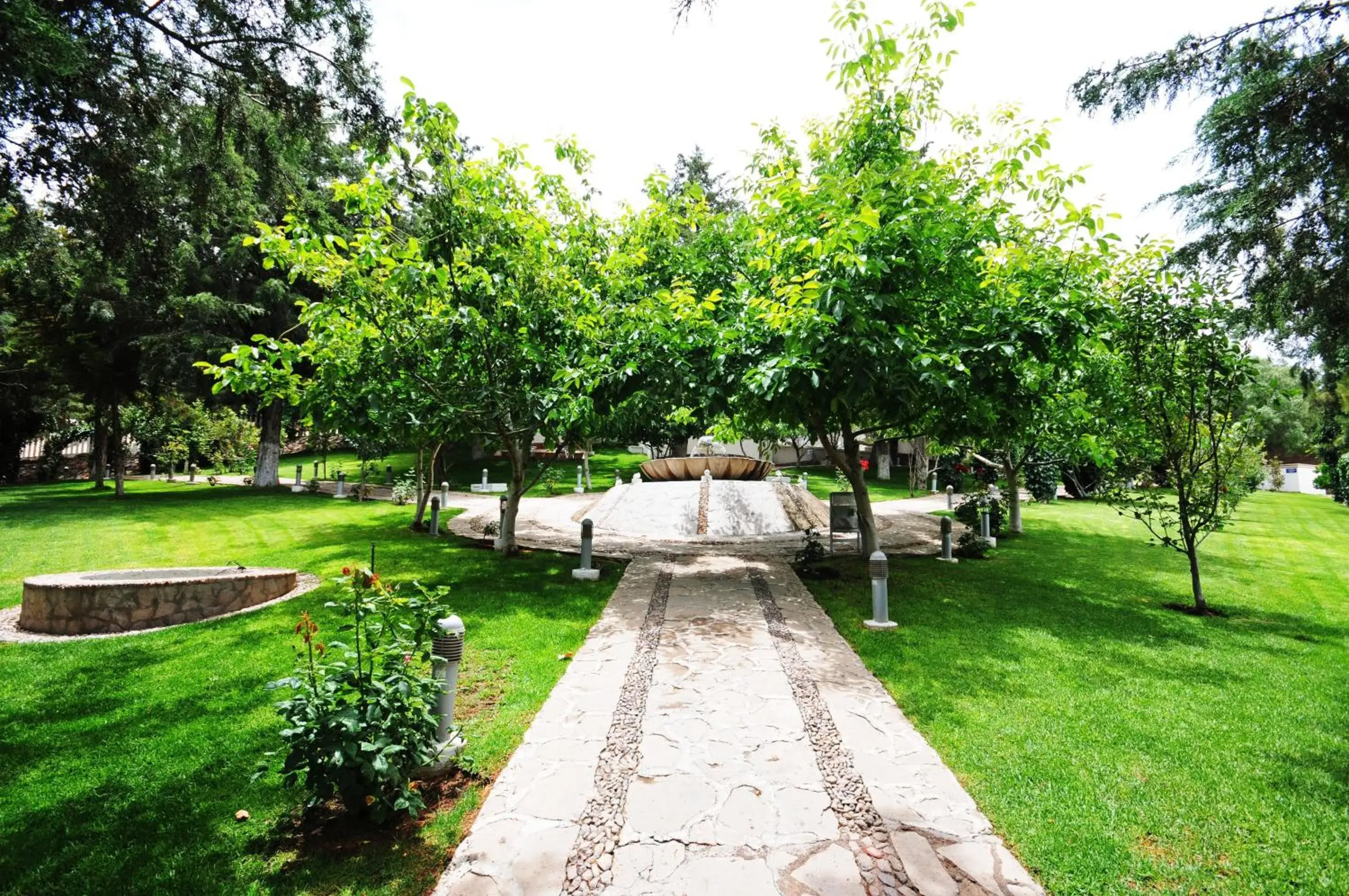 Garden in Hotel Baruk Teleferico y Mina