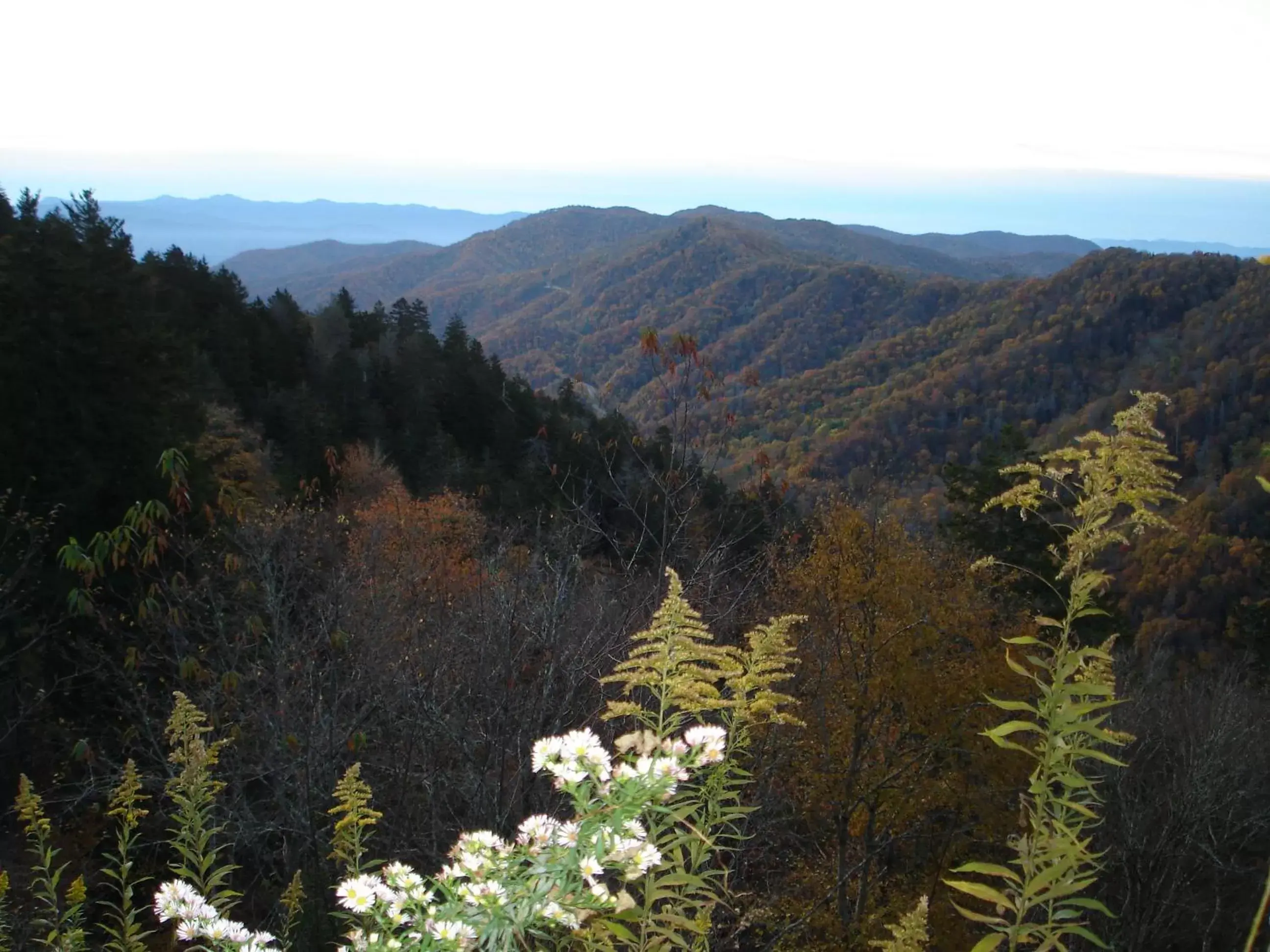 View (from property/room), Mountain View in Guest Inn Pigeon Forge