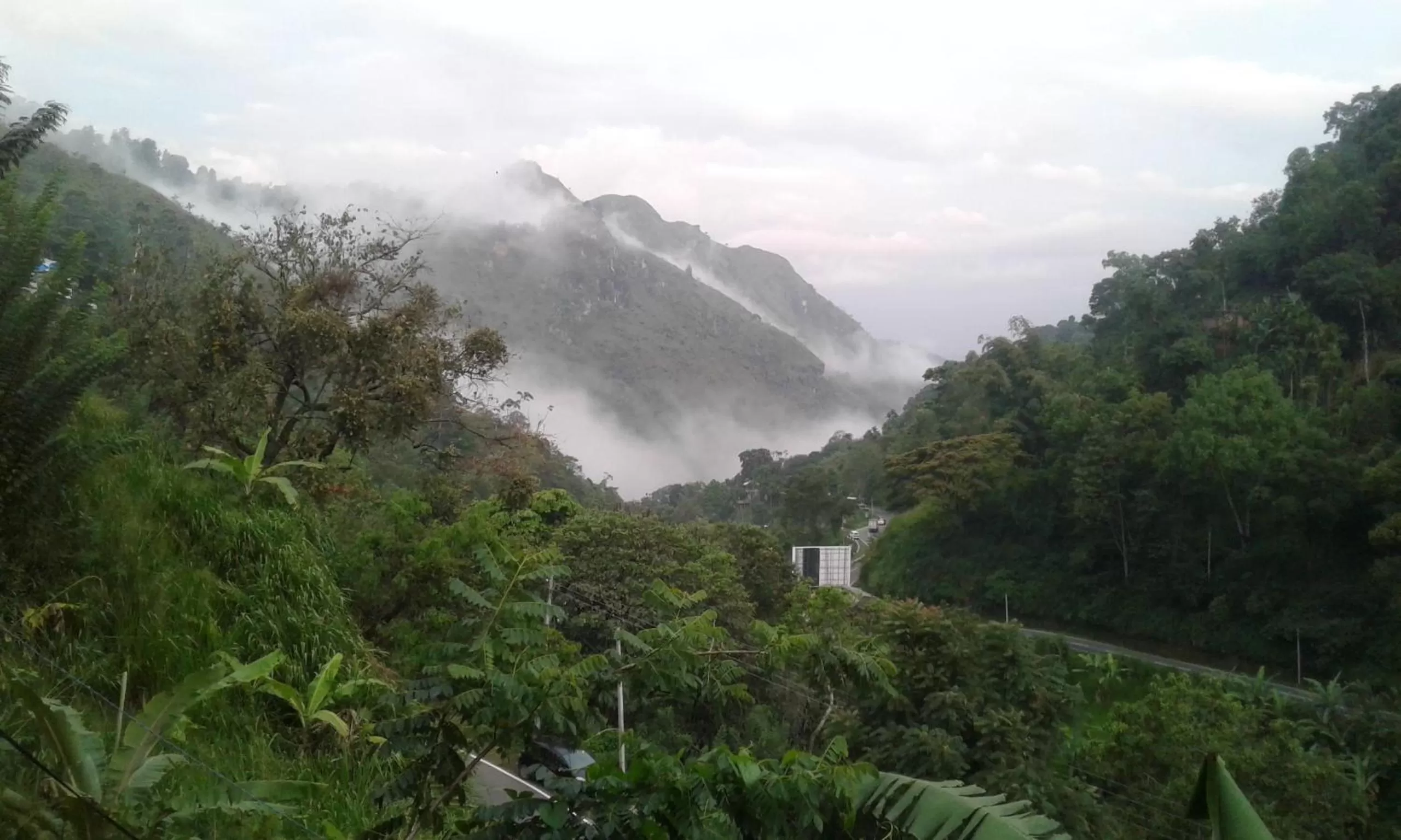 Ella Lucky Panoramic