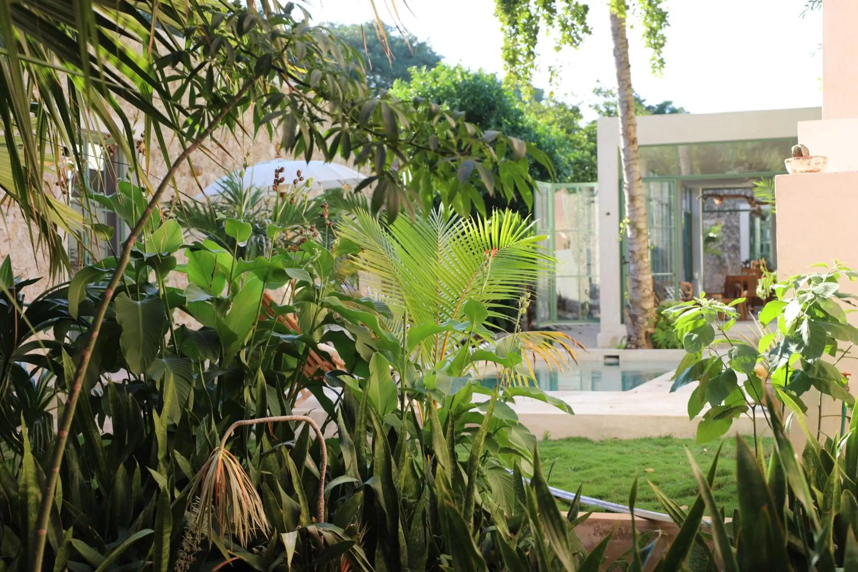 Garden view in Nuik Casa Tropical