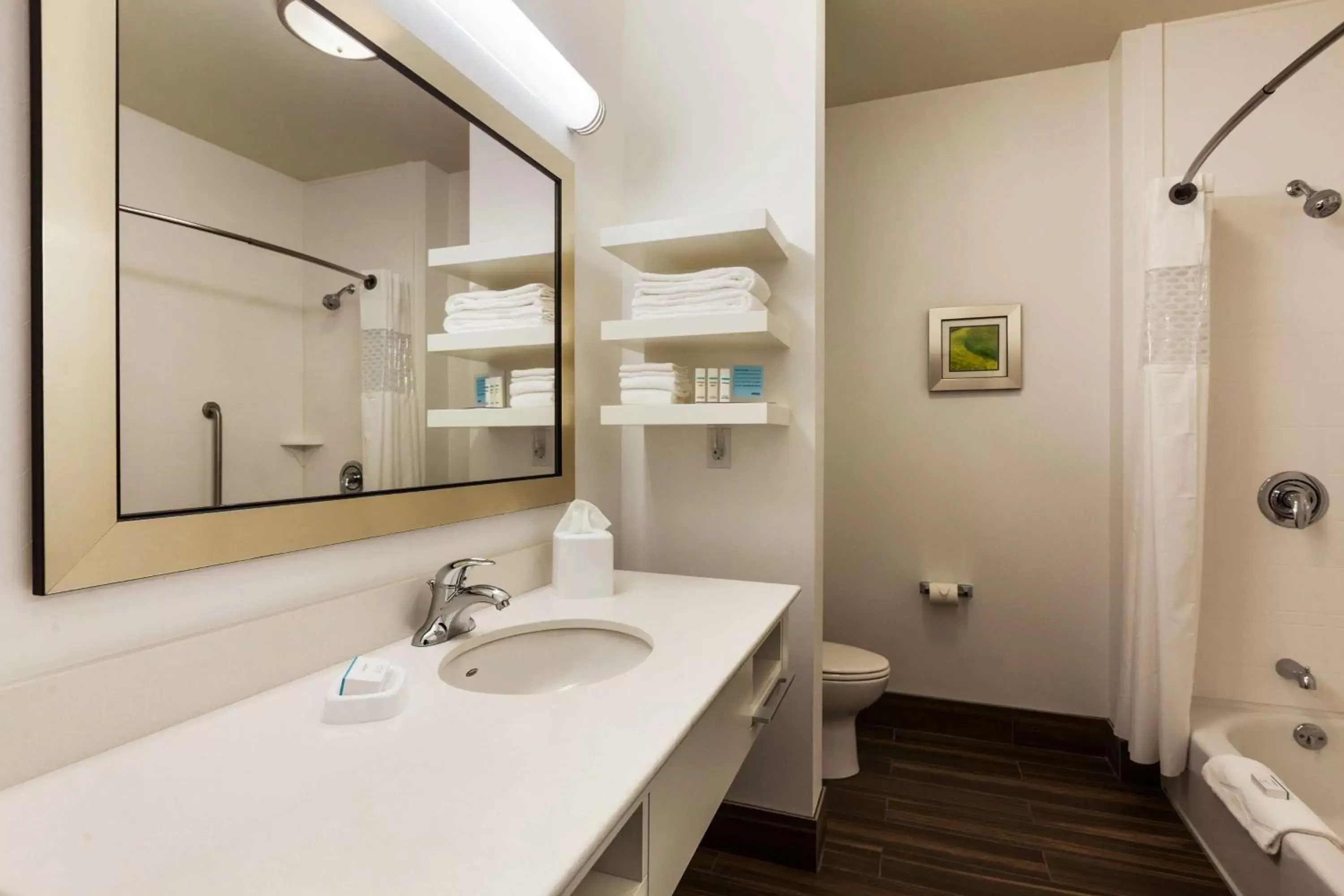 Bathroom in Hampton Inn & Suites Portland/Hillsboro-Evergreen Park
