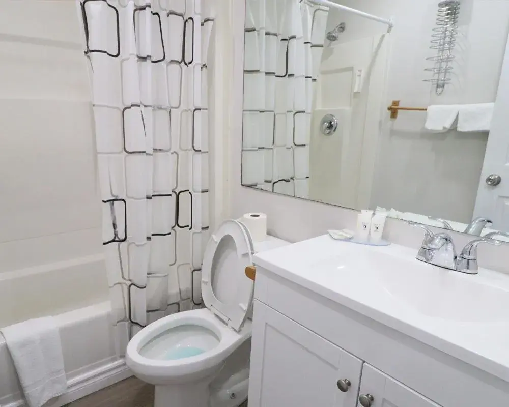 Bathroom in Algonquin Lakeside Inn