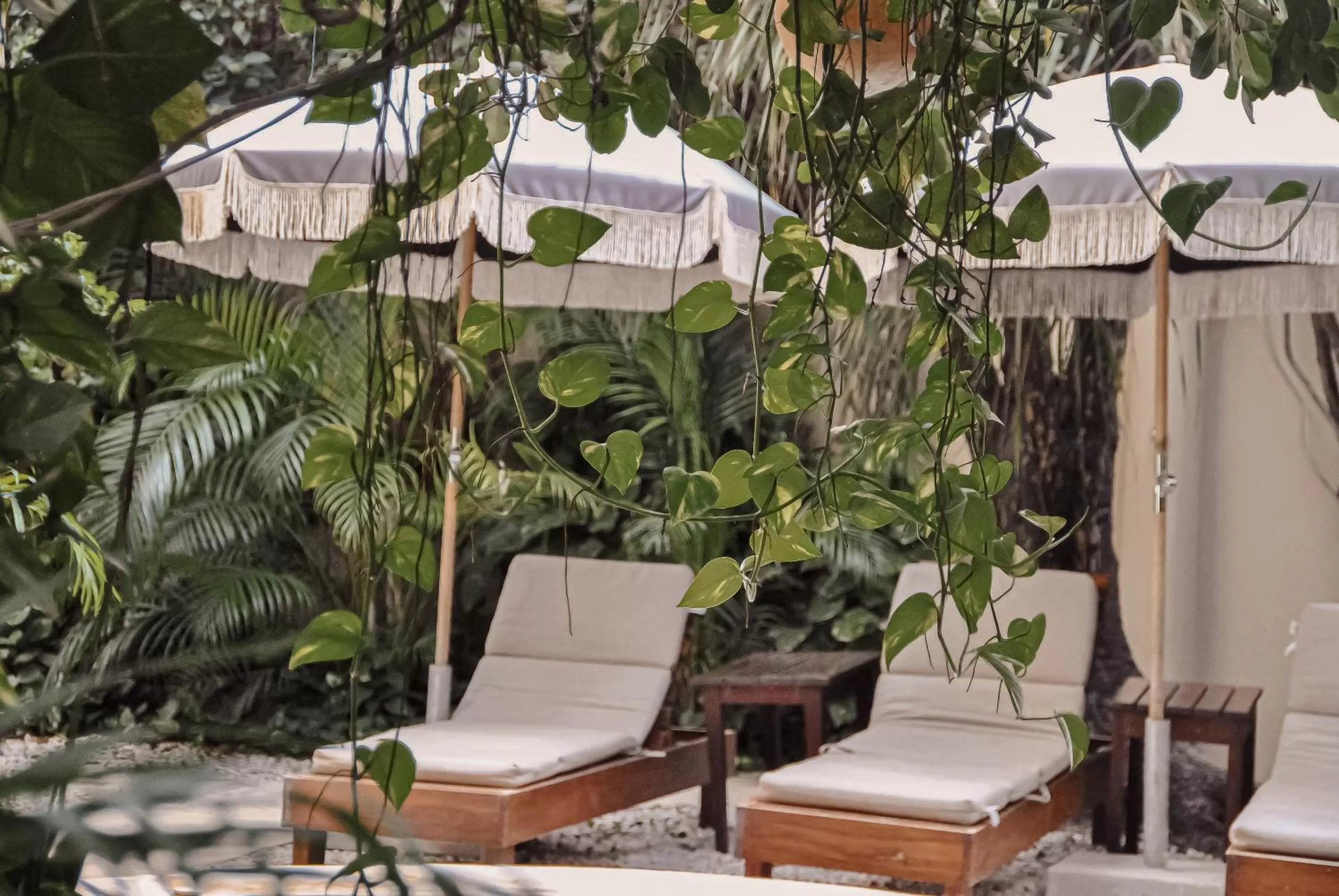 Garden in Boutique Hotel Posada 06 Tulum