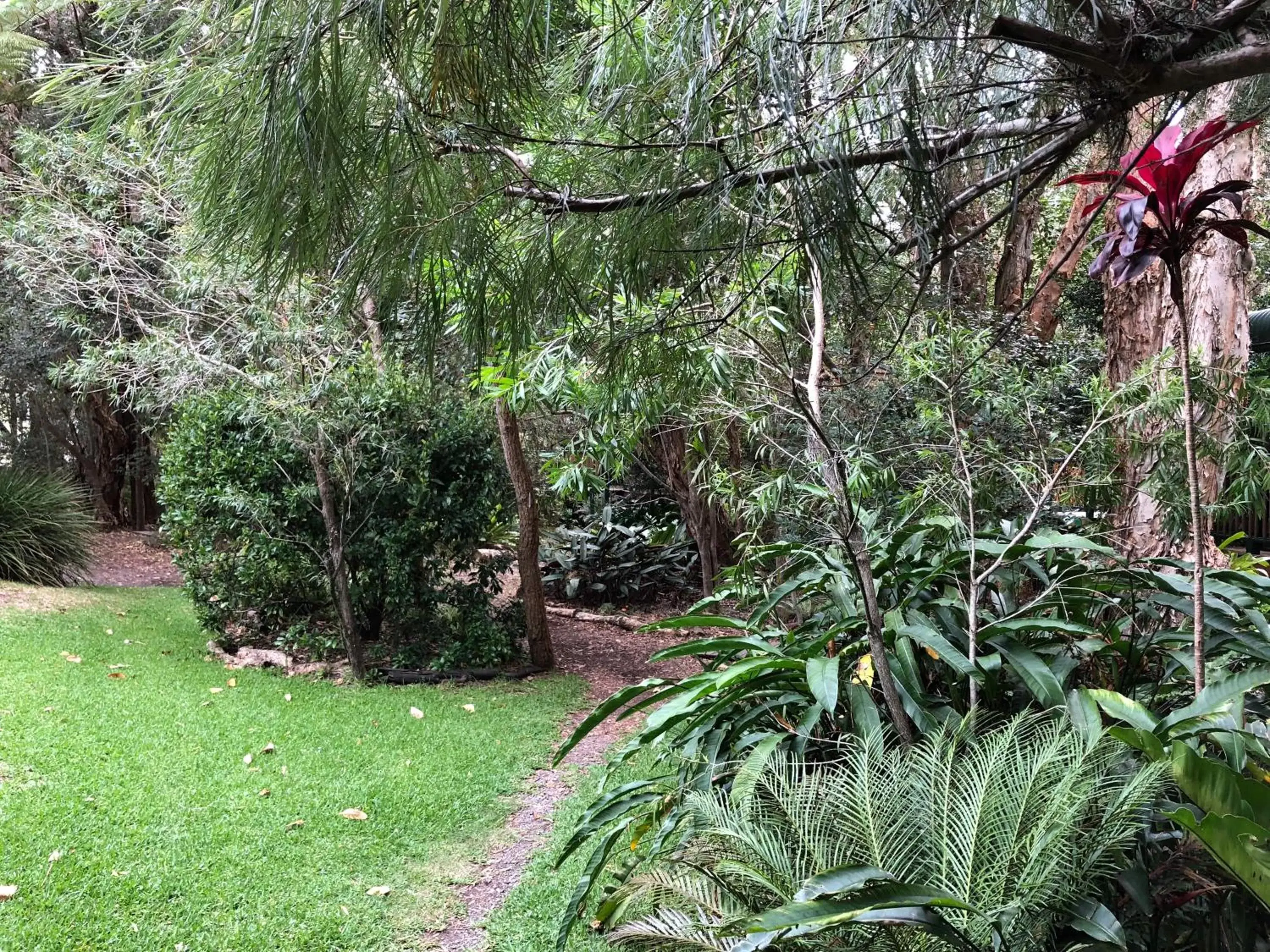 Garden in Wanderers Retreat