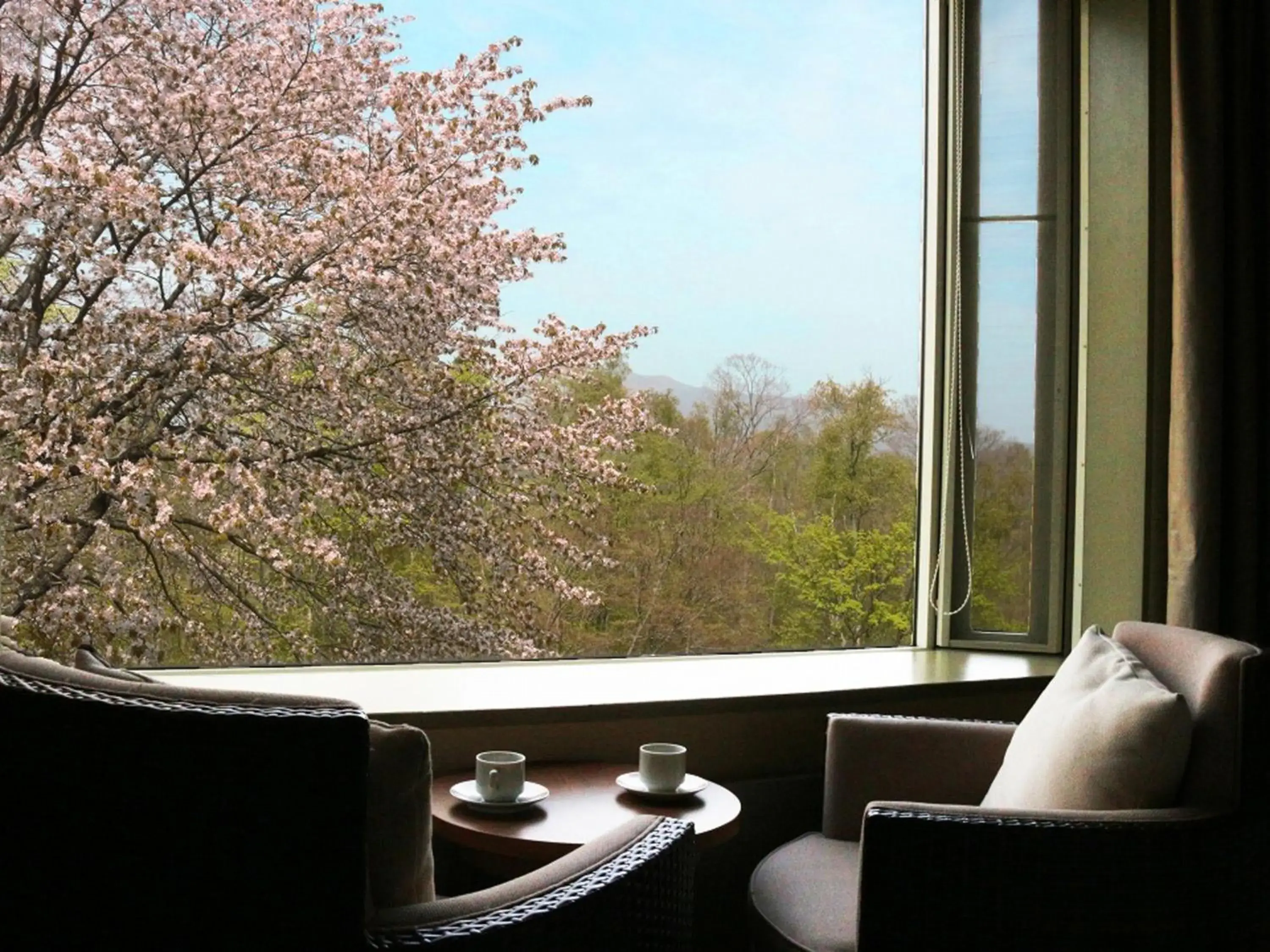 Photo of the whole room in Hakodate Onuma Prince Hotel