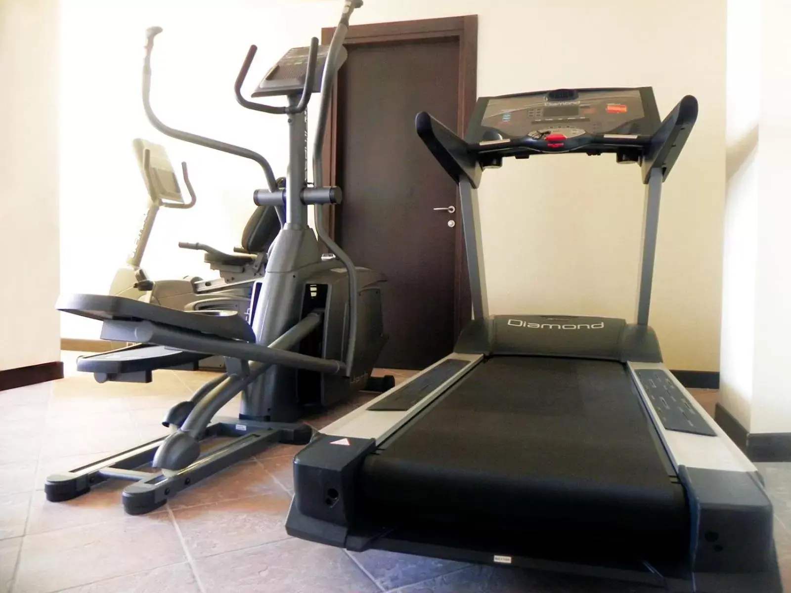 Fitness centre/facilities, Fitness Center/Facilities in Vercelli Palace Hotel