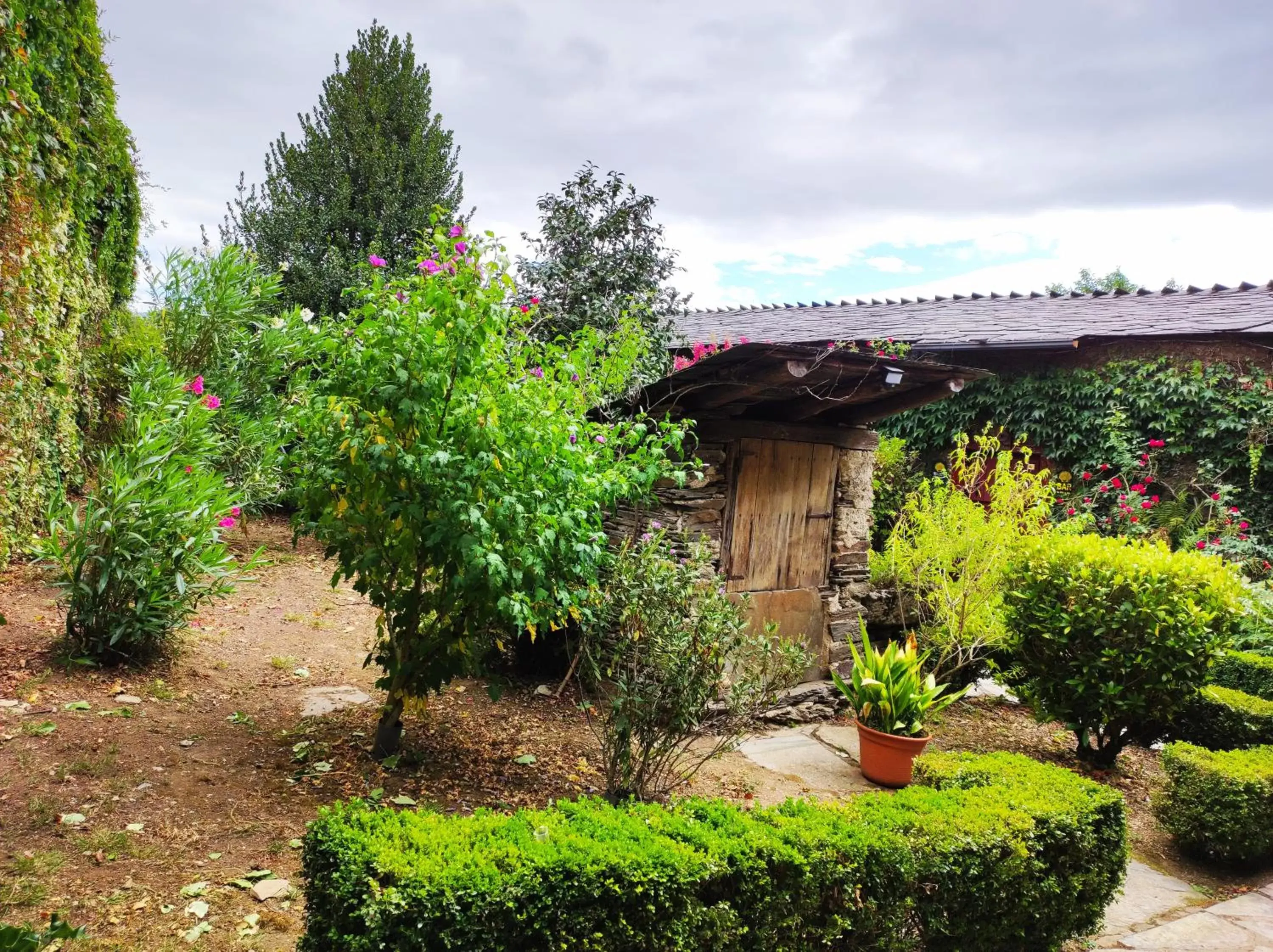 Garden in Hotel Casa de Díaz