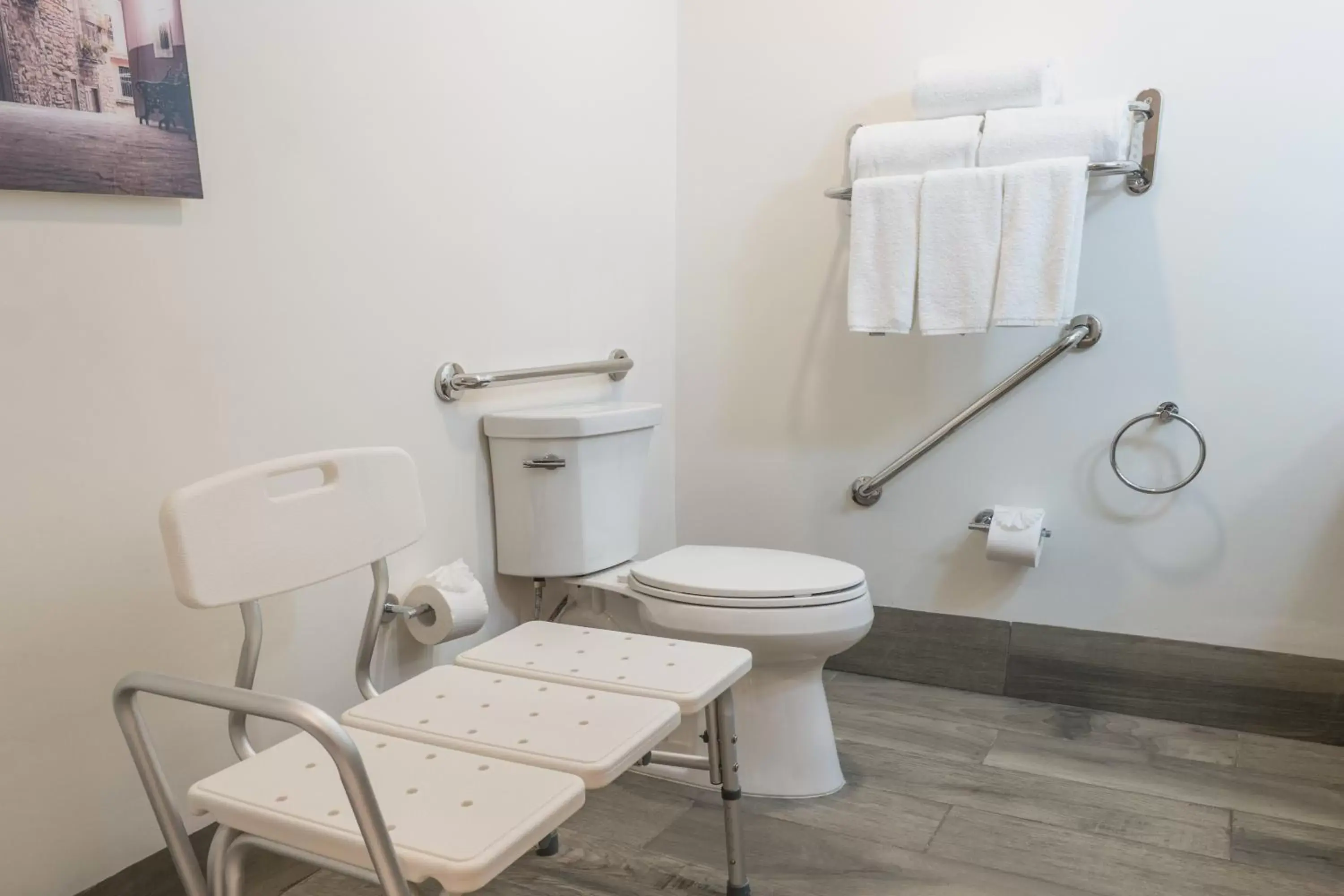 Photo of the whole room, Bathroom in Holiday Inn Express & Suites Silao Aeropuerto Terminal, an IHG Hotel