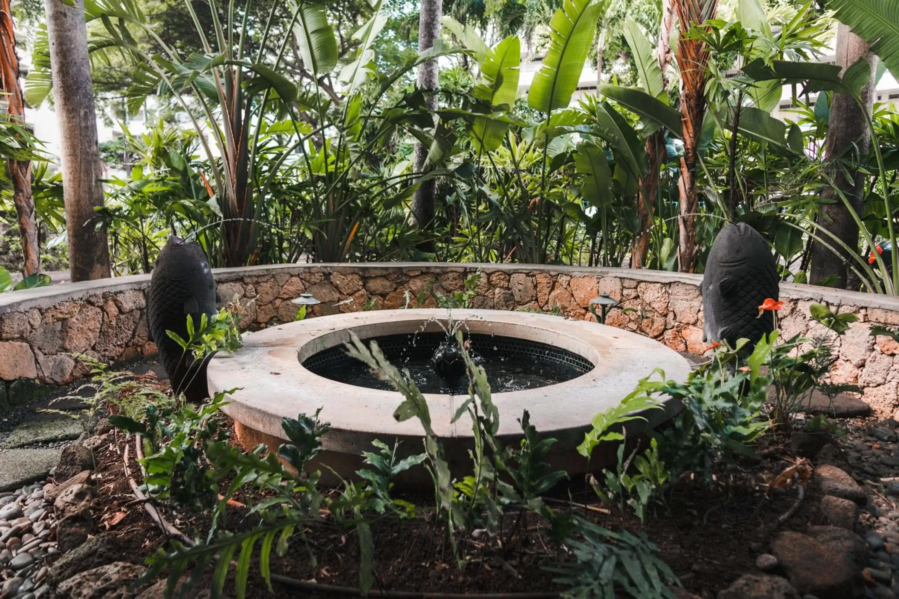 Garden in Lotus Honolulu at Diamond Head