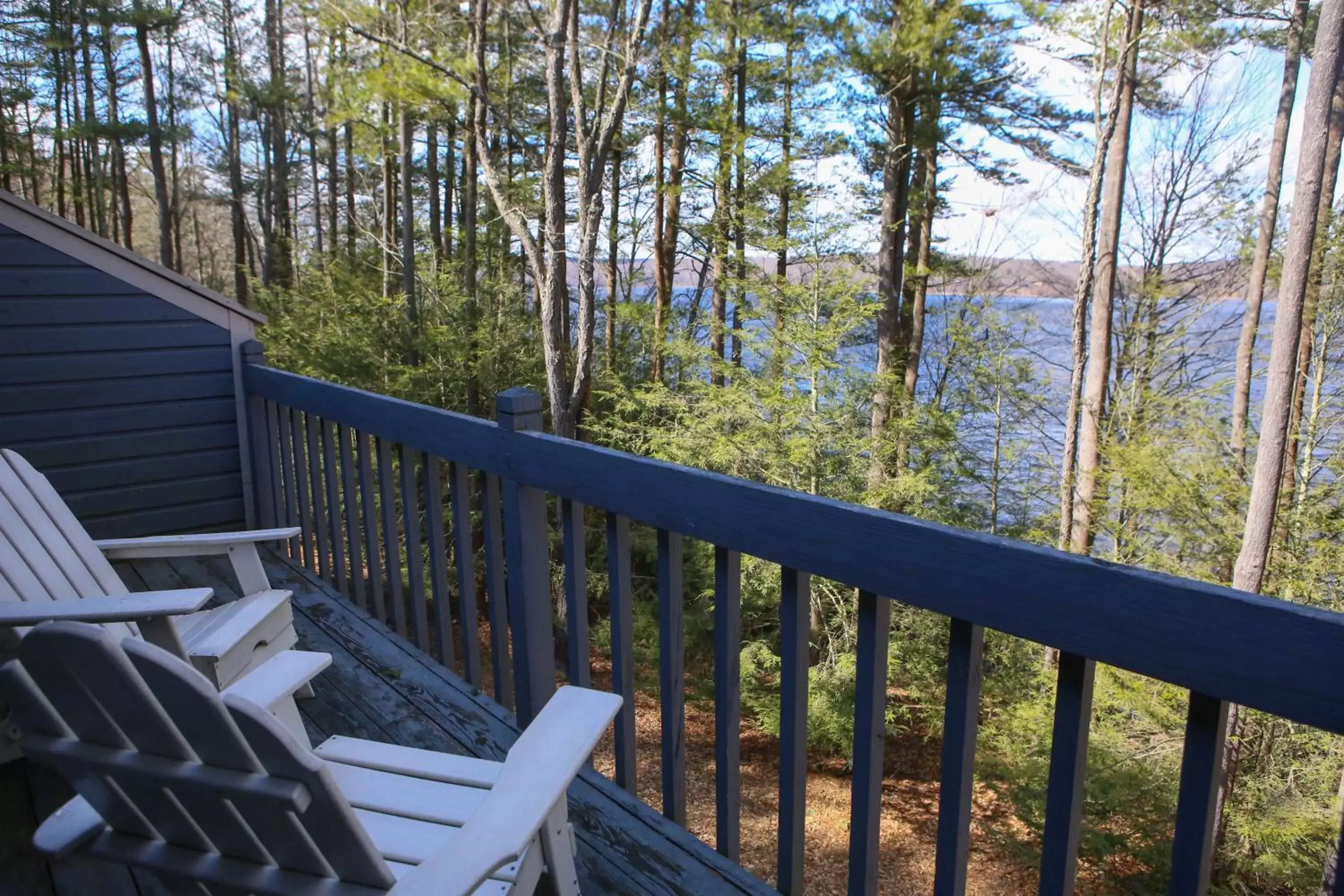 View (from property/room) in Silver Birches Resort