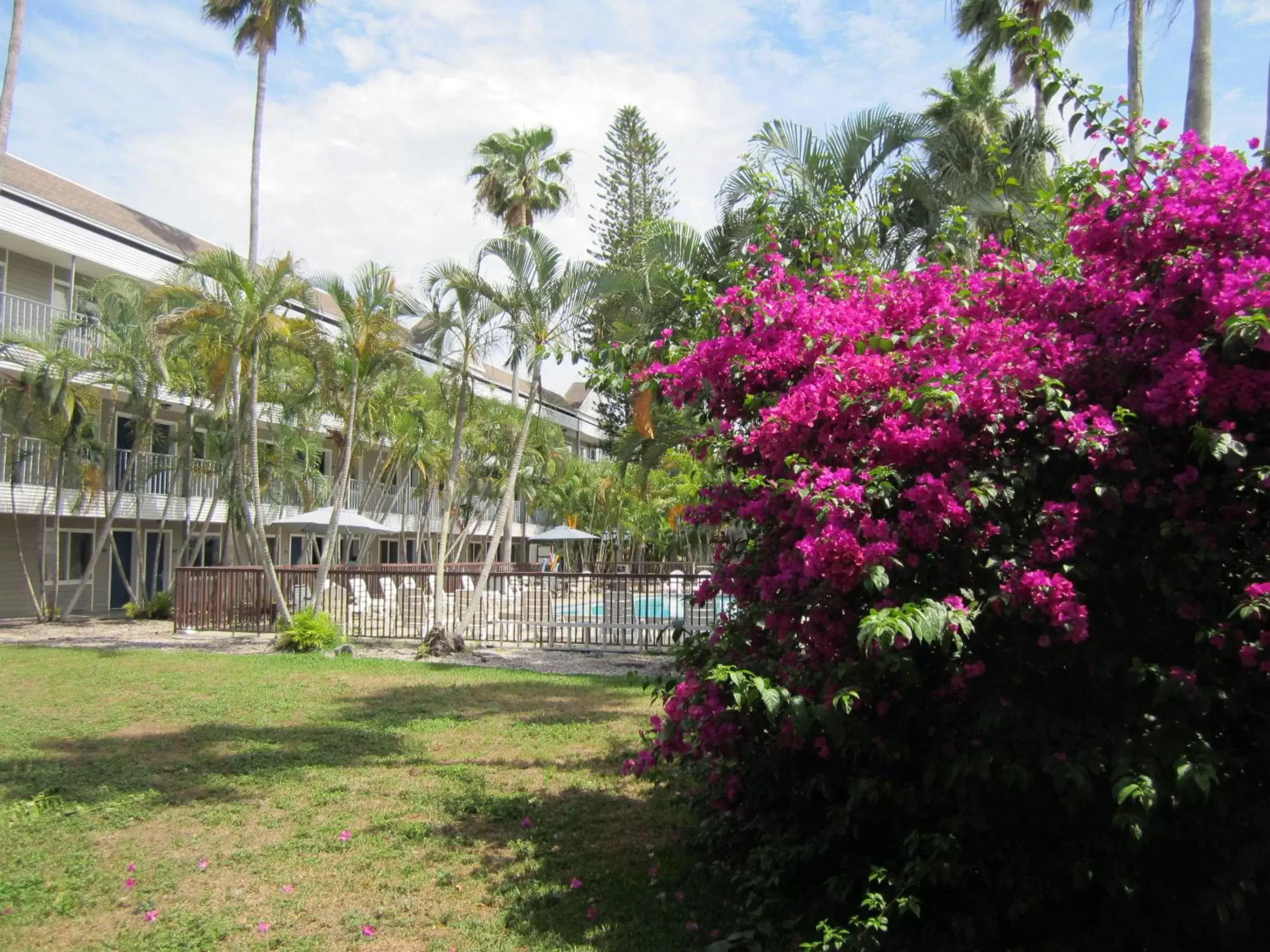 Garden, Property Building in Lantern Inn & Suites - Sarasota