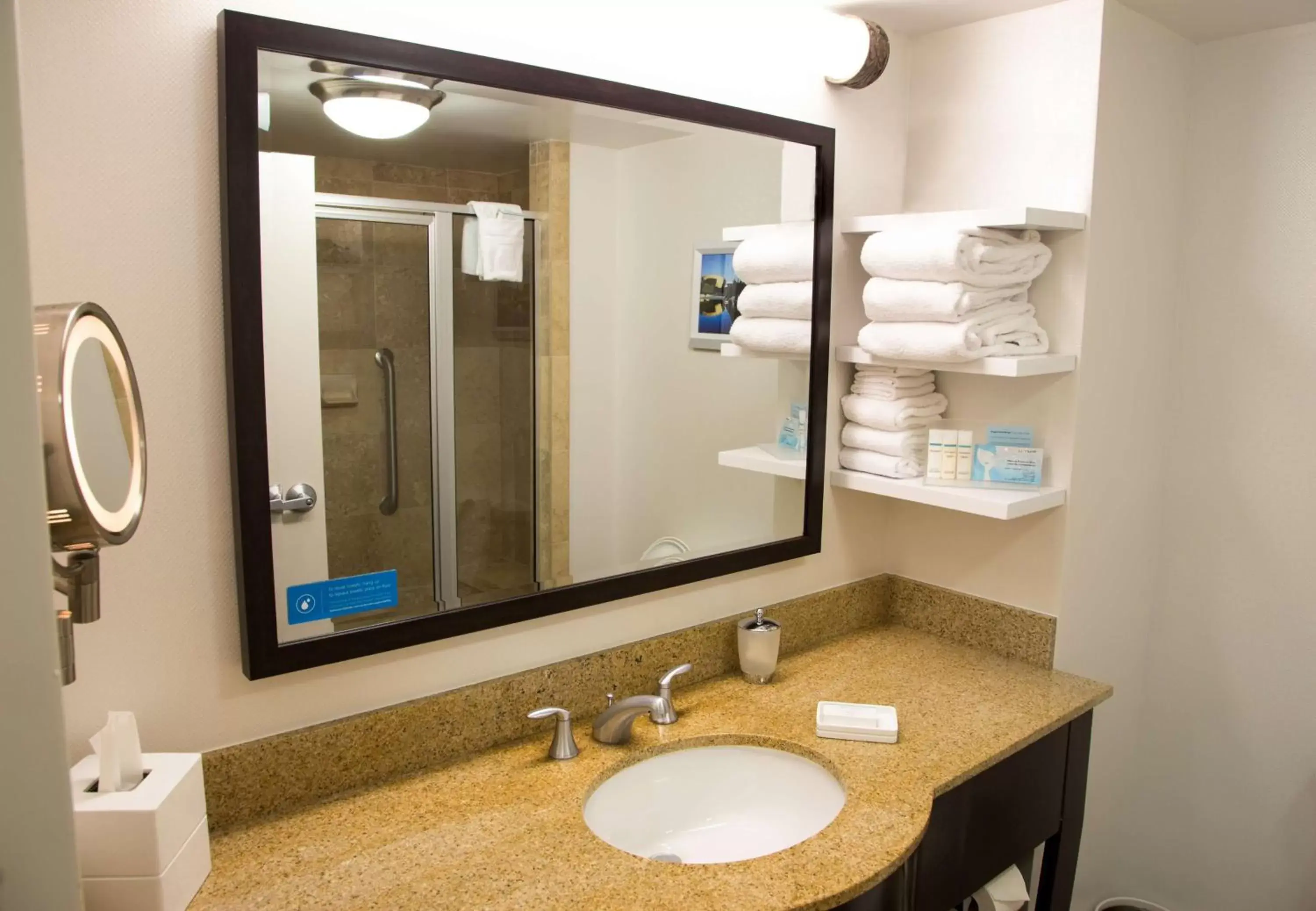 Bathroom in Hampton Inn & Suites Albany-Downtown