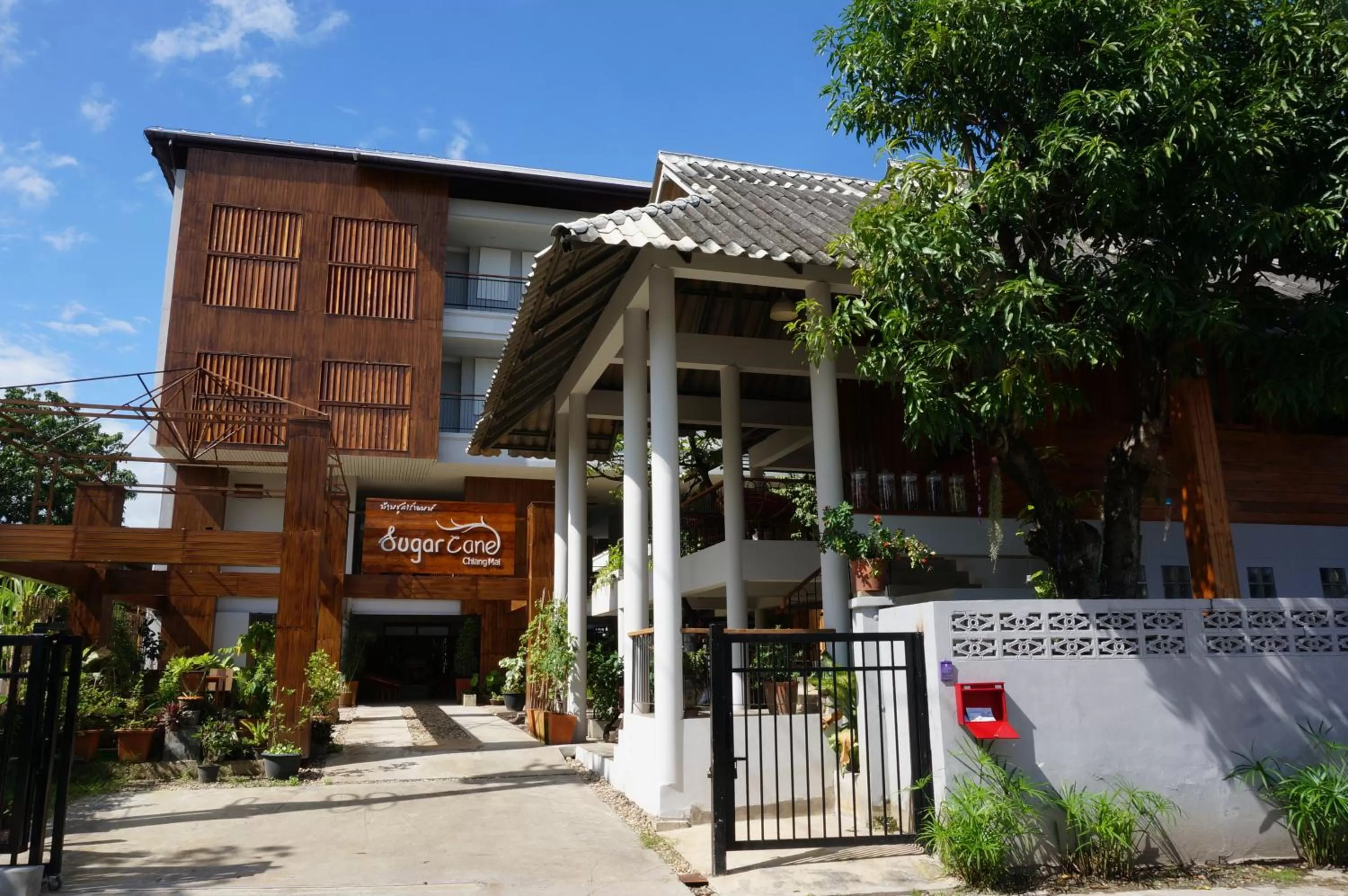 Property building in SugarCane Chiang Mai