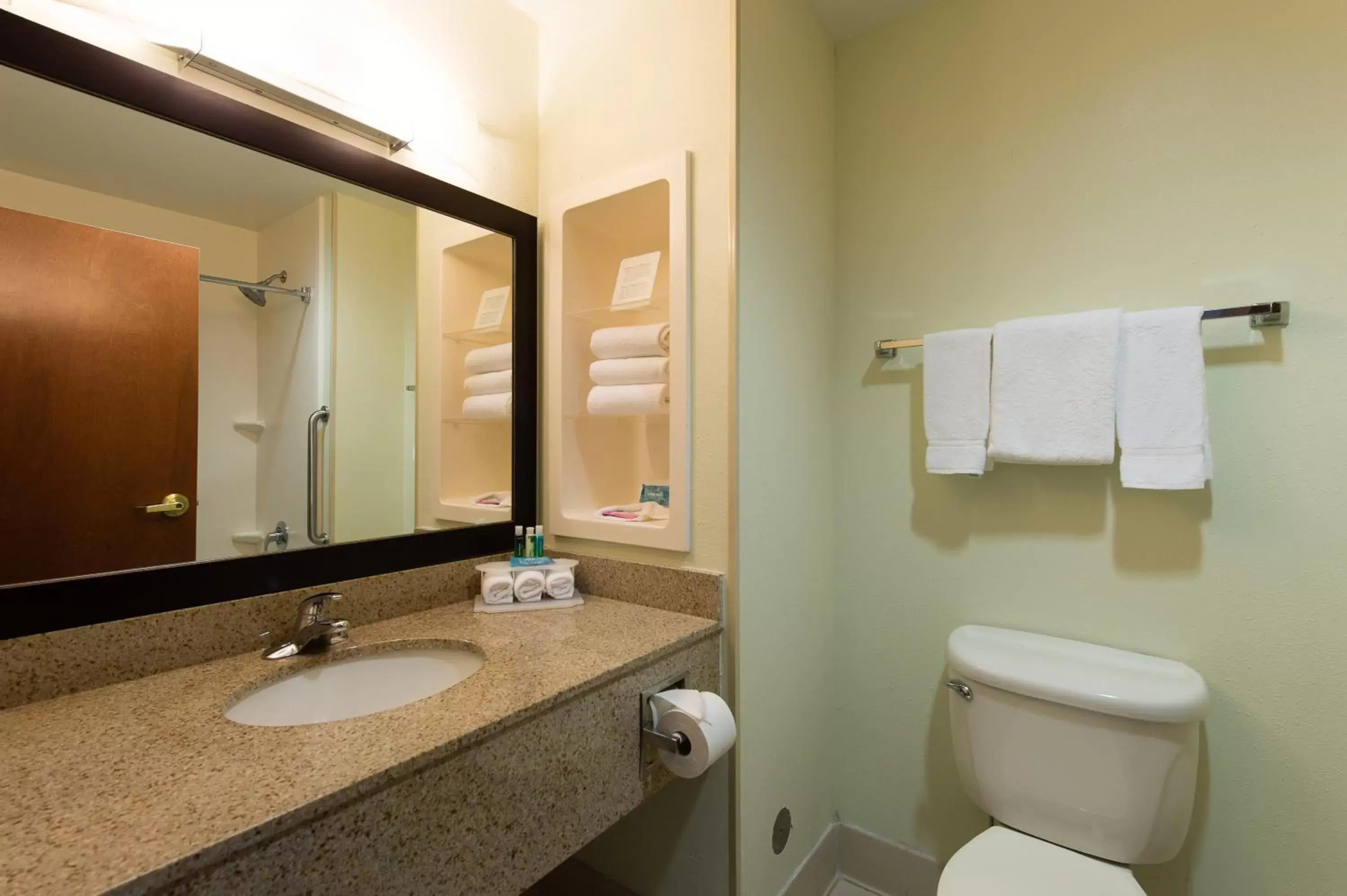 Bathroom in Holiday Inn Express & Suites Walterboro, an IHG Hotel
