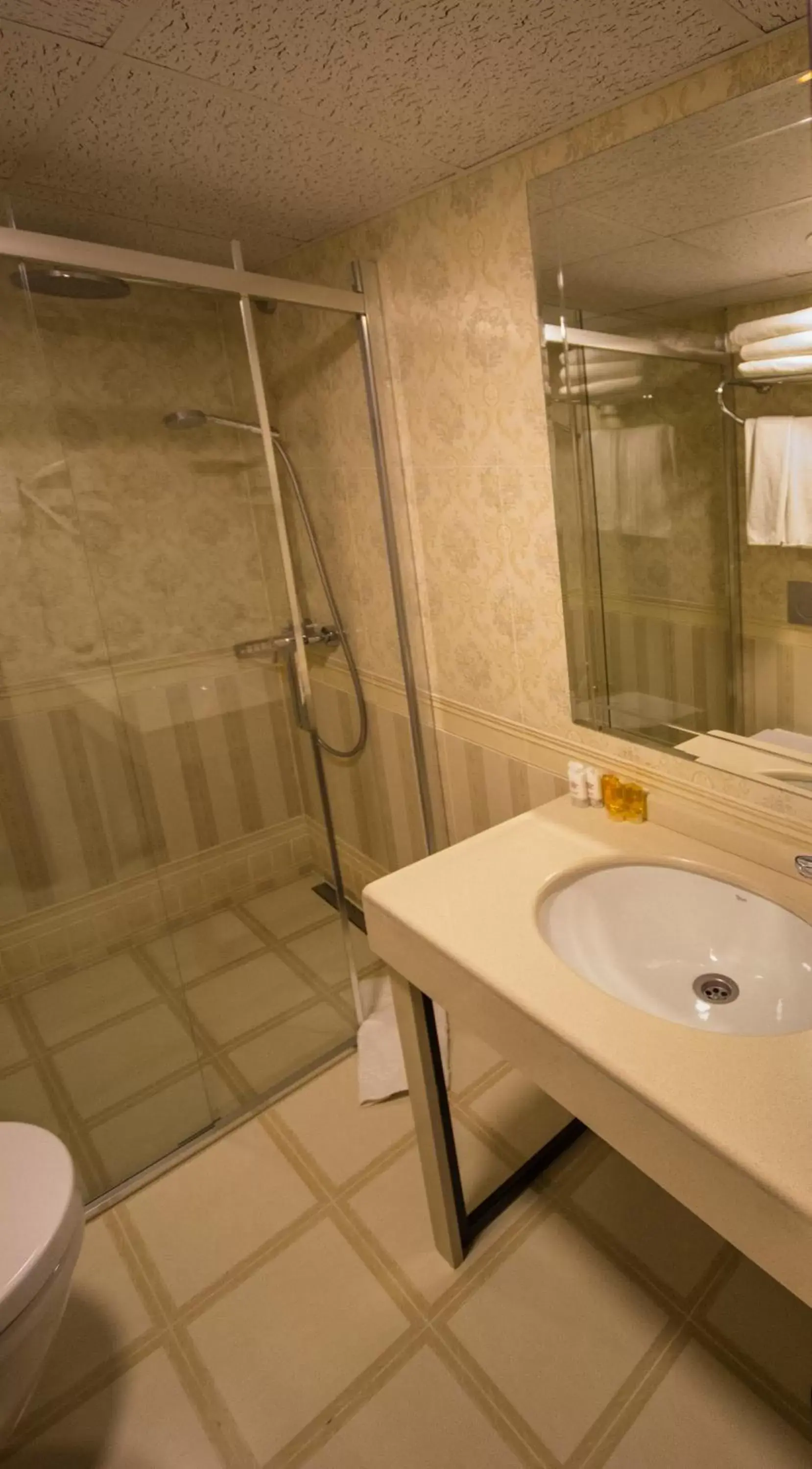 Shower, Bathroom in Deluxe Golden Horn Sultanahmet Hotel