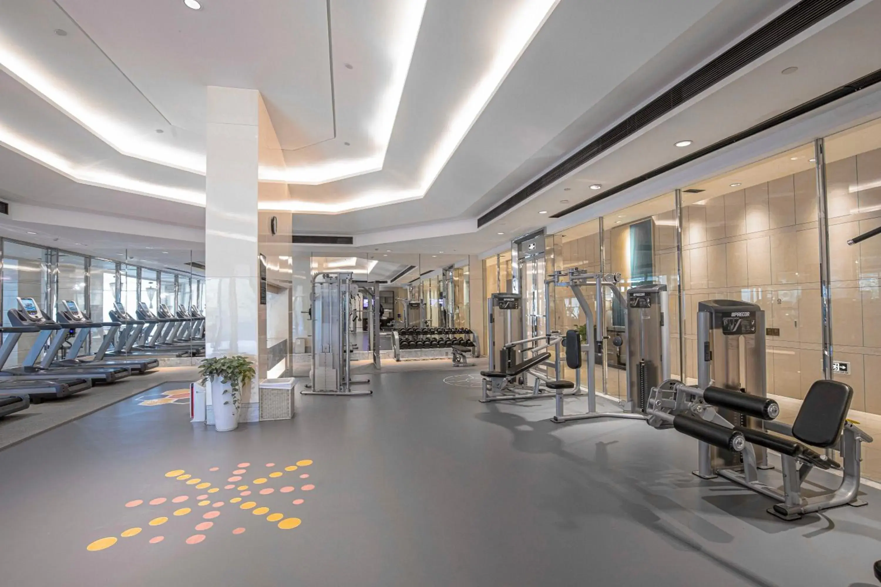 Fitness centre/facilities, Fitness Center/Facilities in Pan Pacific Ningbo