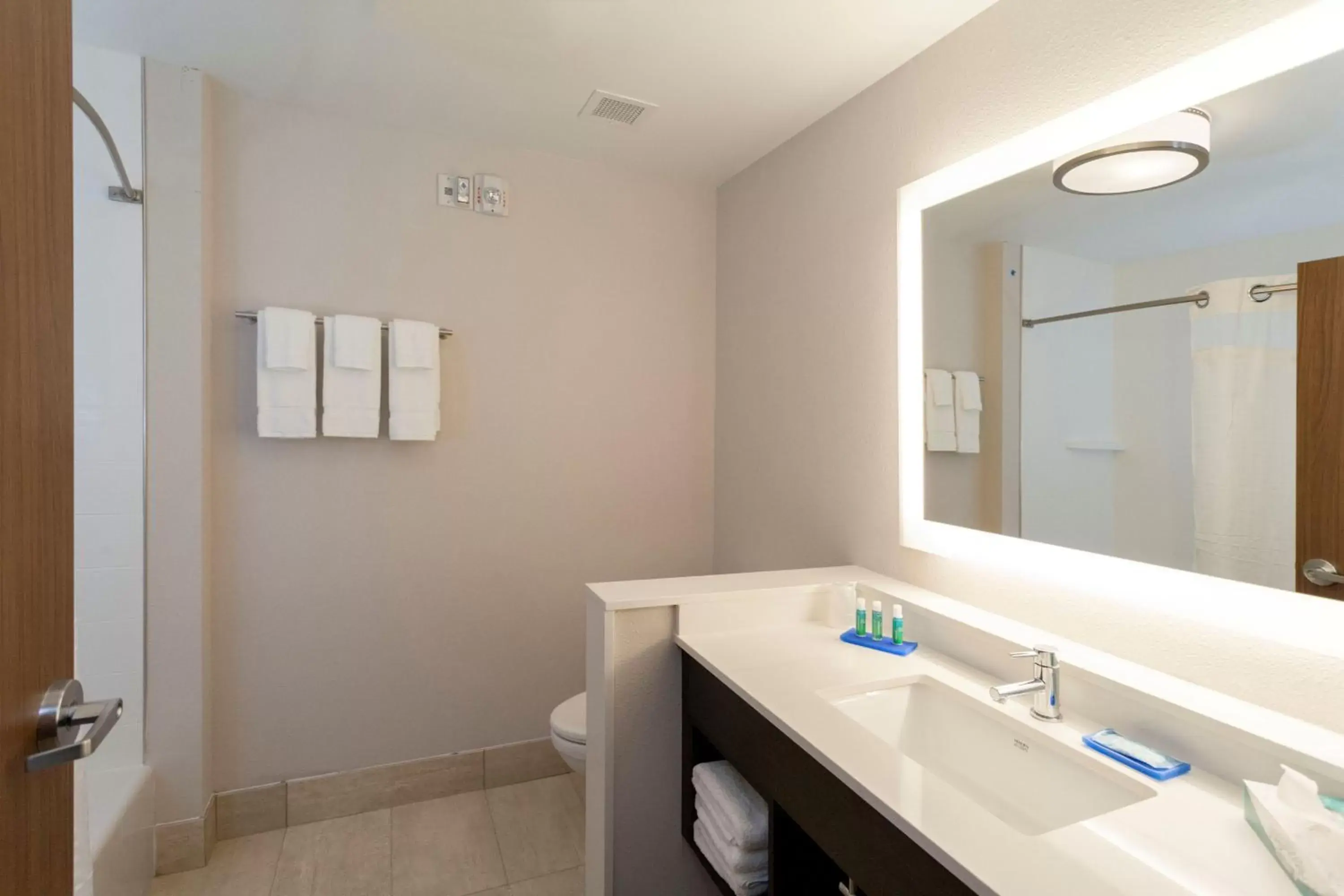 Bathroom in Holiday Inn Express Hotel & Suites Saint - Hyacinthe, an IHG Hotel