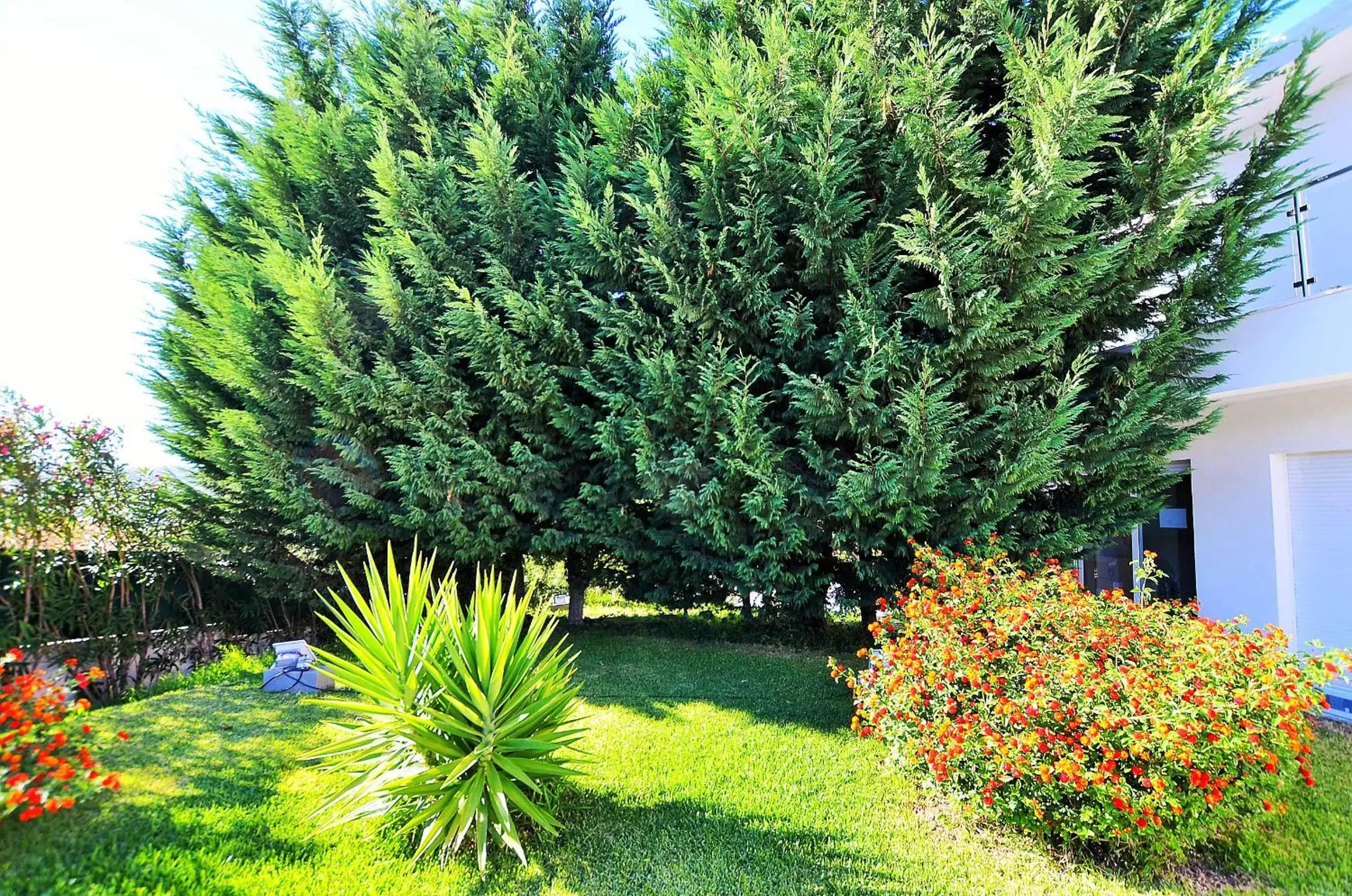 Garden in HILLTOP OASIS Lisboa Oeiras