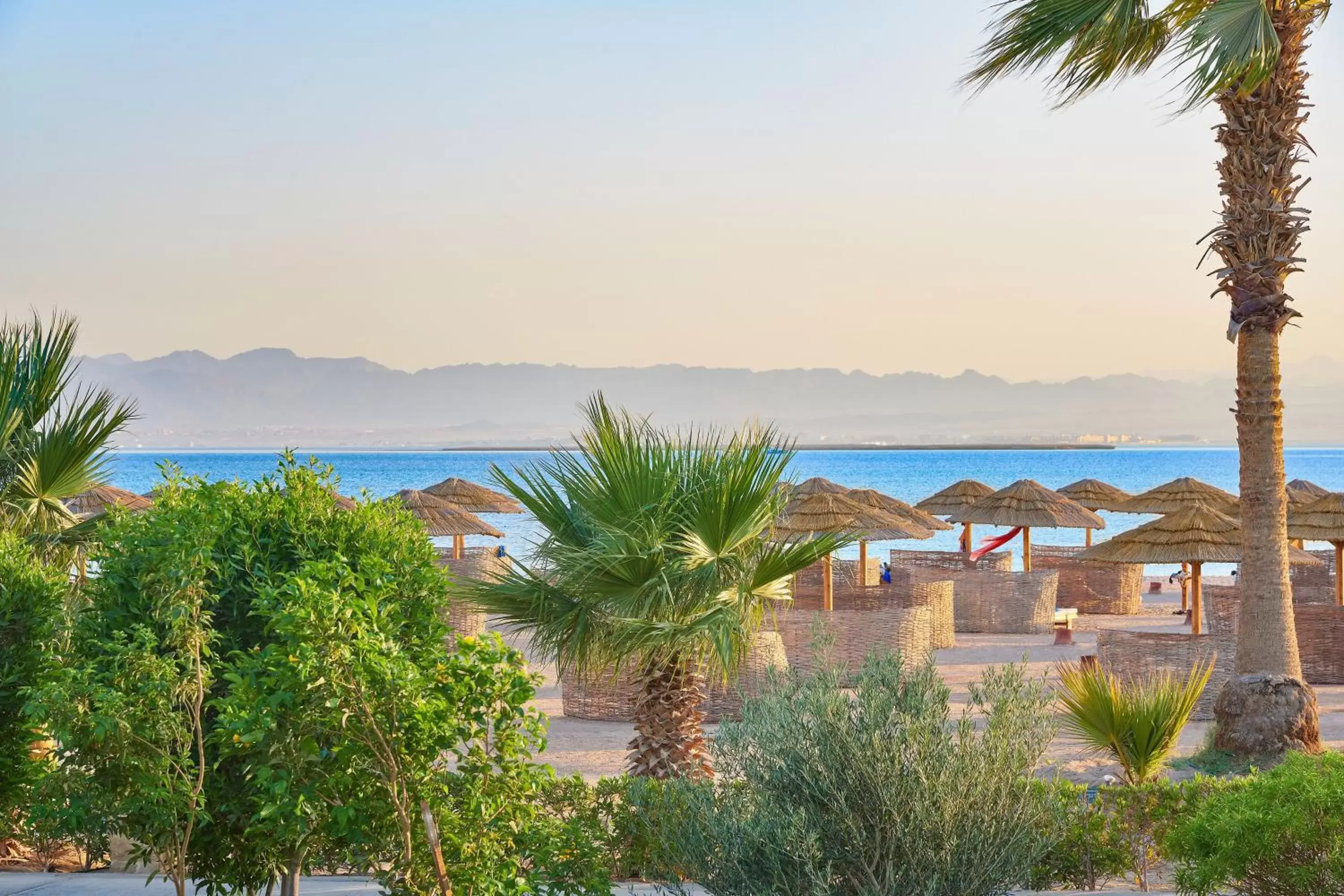 Beach in Sheraton Soma Bay Resort