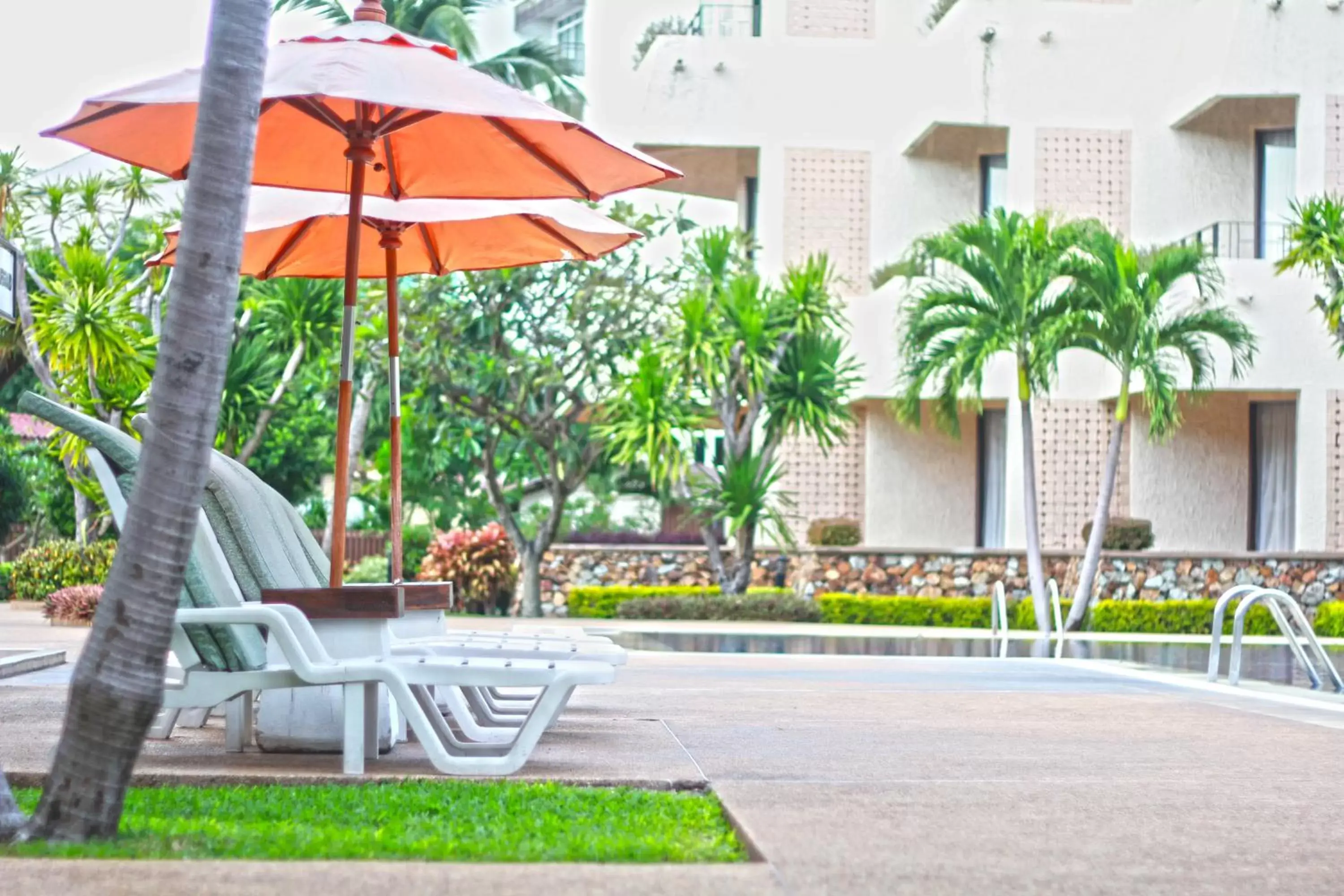 Swimming pool, Patio/Outdoor Area in Hotel Tropicana Pattaya - SHA Extra Plus