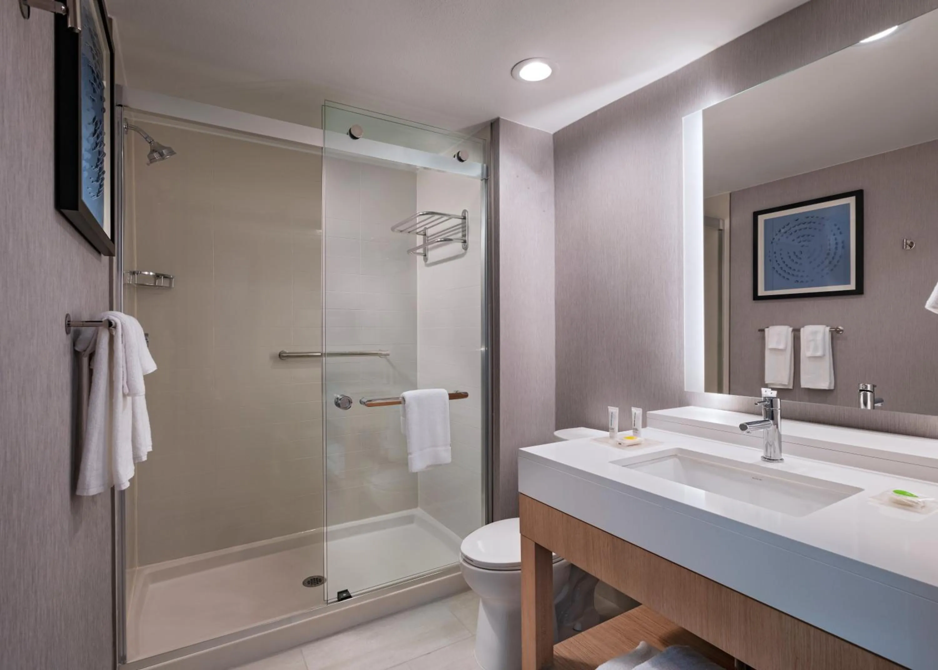 Shower in Hyatt Place Austin Lake Travis/Four Points