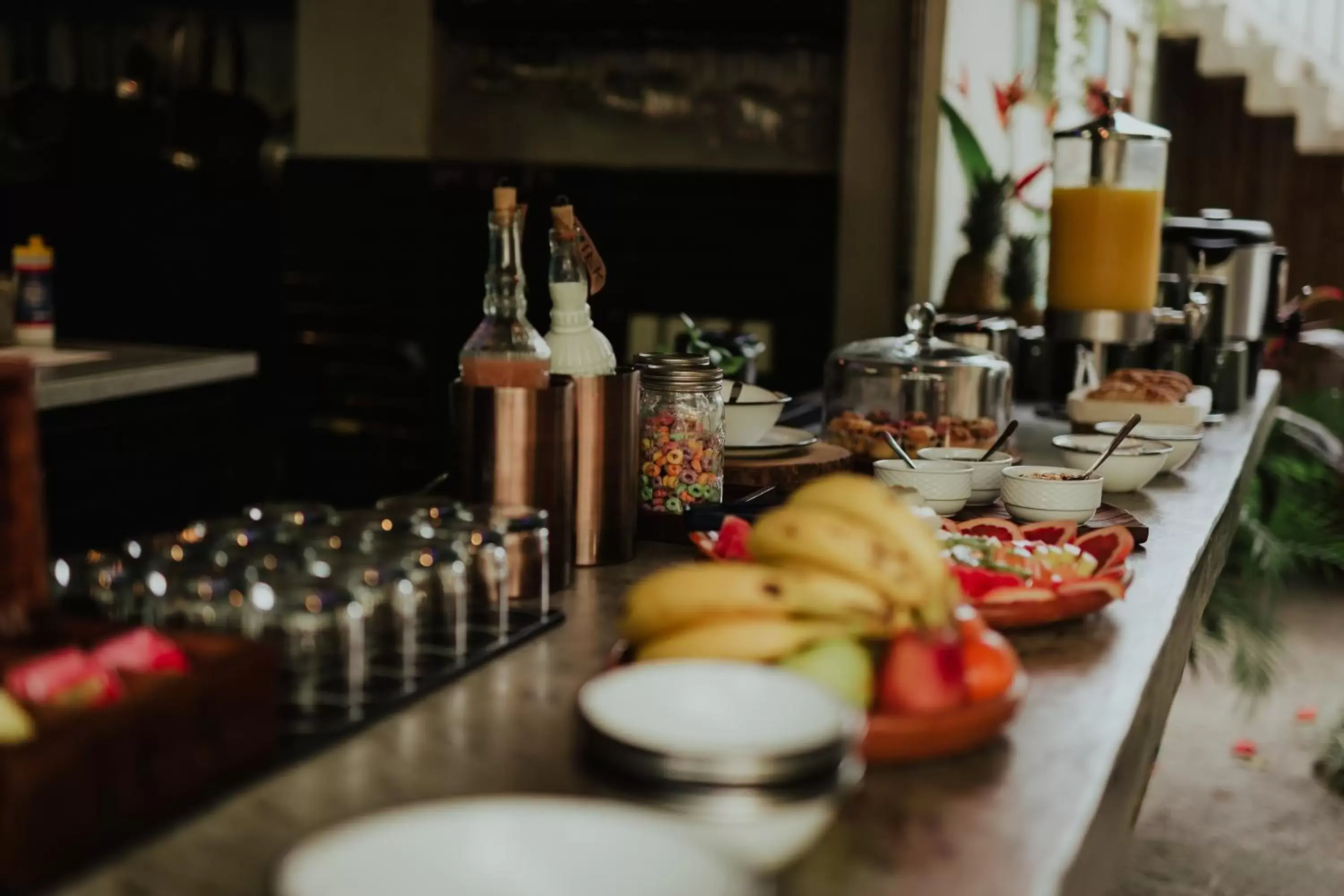 Food and drinks in San Trópico Boutique Hotel & Peaceful Escape