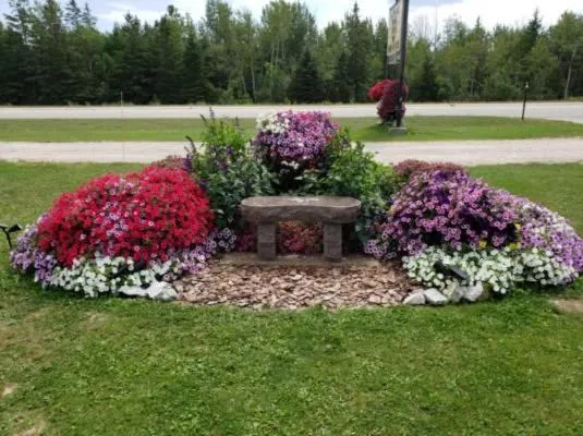 Sunset Motel at Armand's Gardens