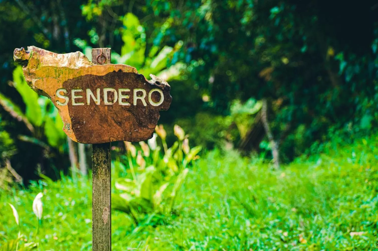 Day in Villa Cristina - Casa Boutique