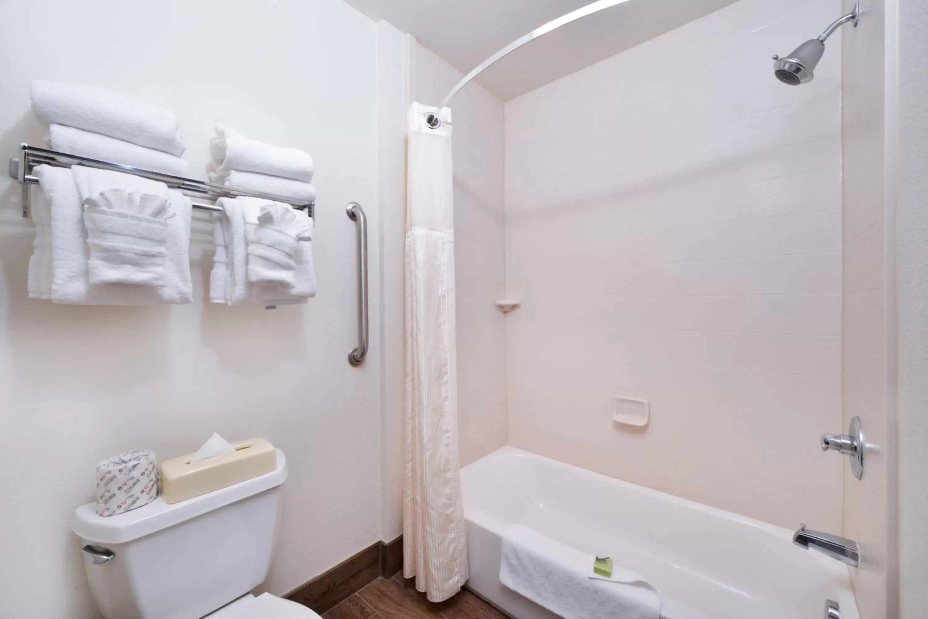 Decorative detail, Bathroom in Best Western Sundowner