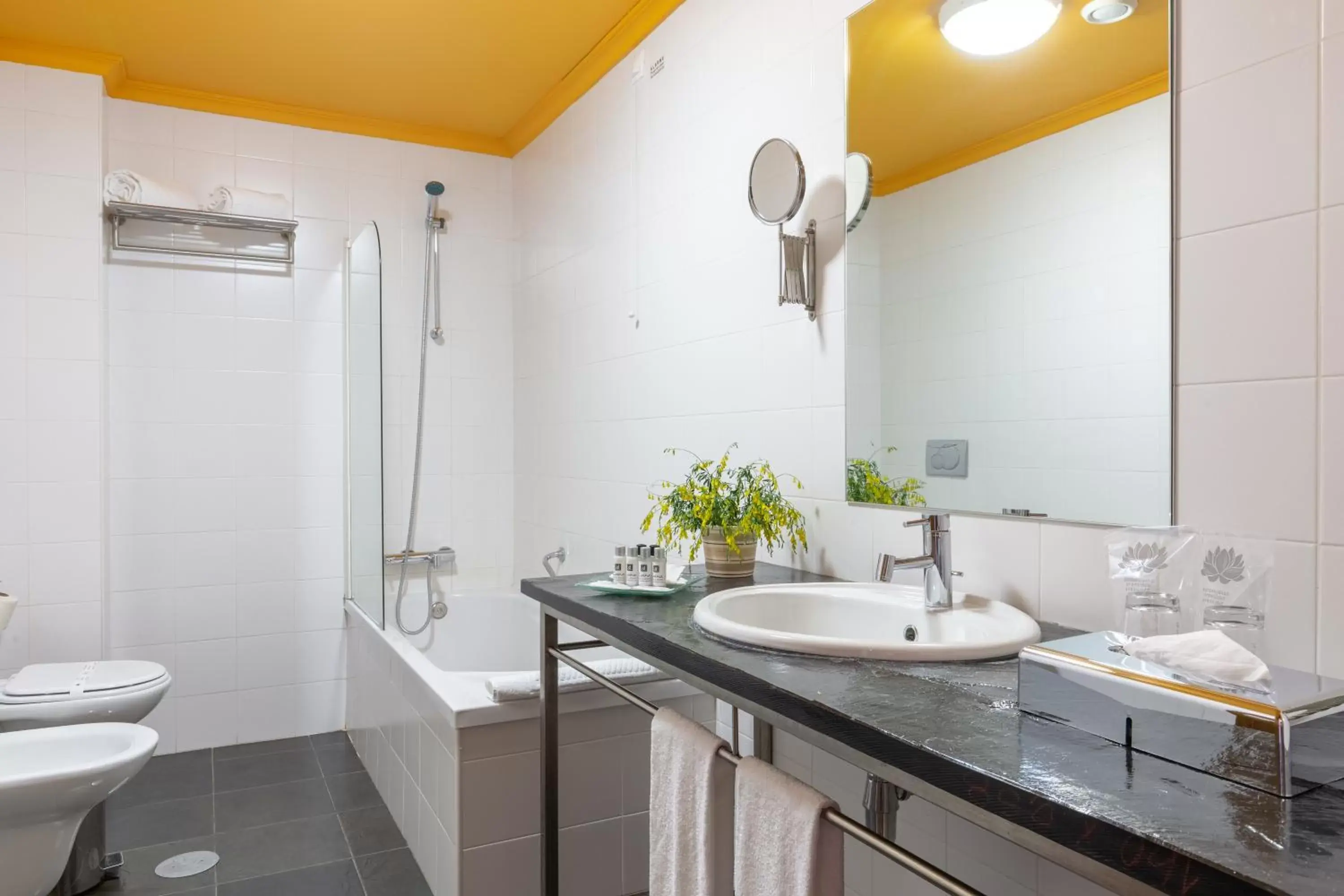 Toilet, Bathroom in Luna Hotel Serra da Estrela