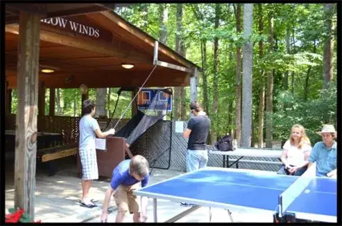 Table tennis in Asheville Cabins of Willow Winds