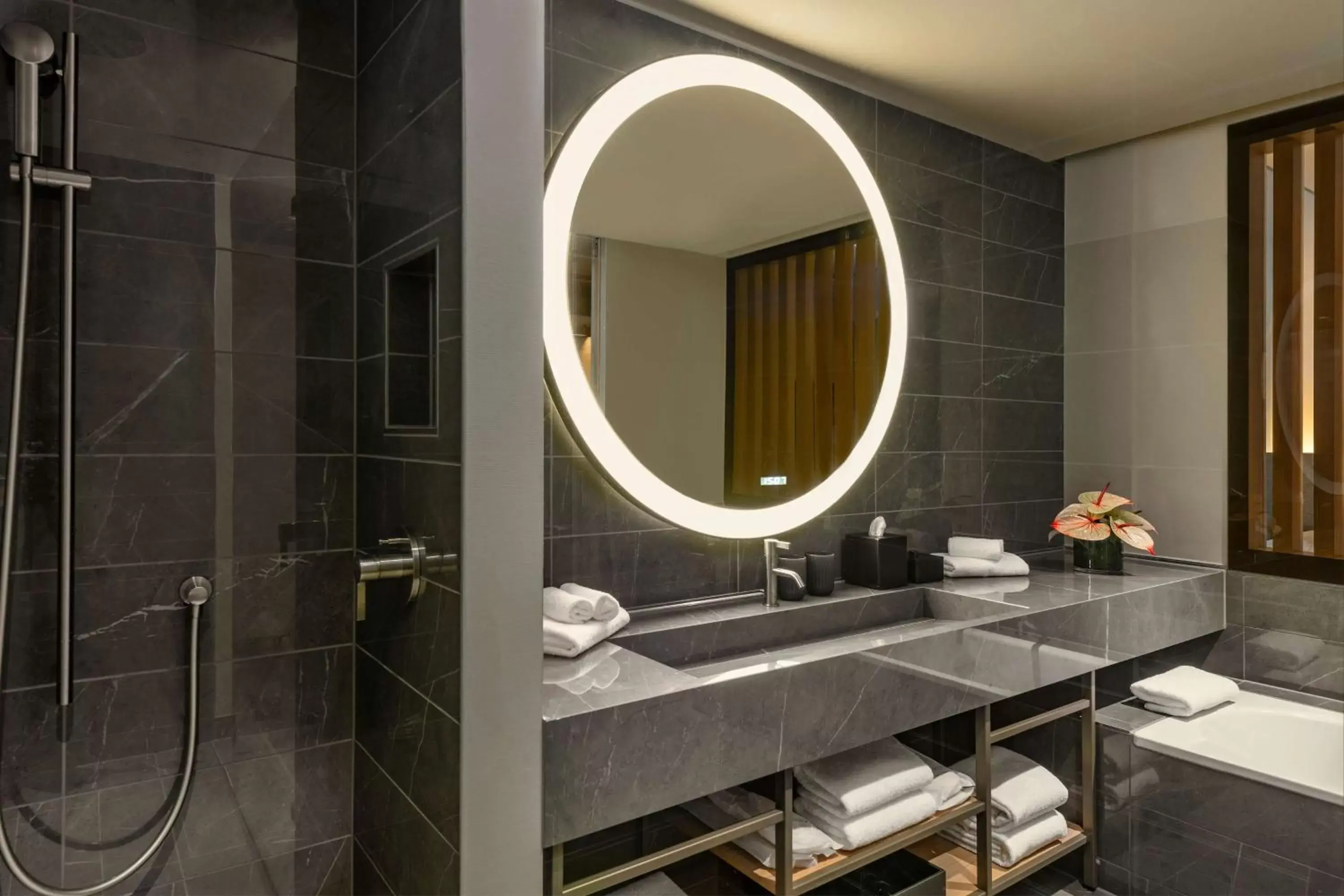 Shower, Bathroom in Hyatt Regency Zurich Airport Circle